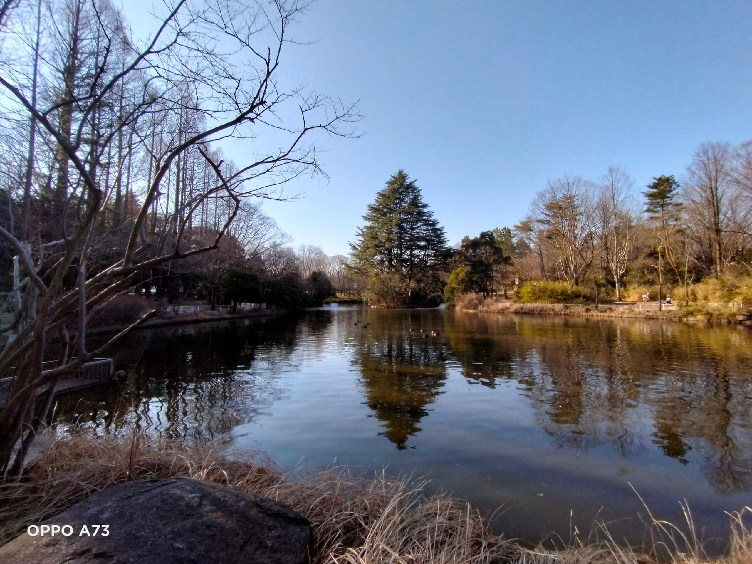 OPPO A73の超広角カメラで撮影した水辺の写真