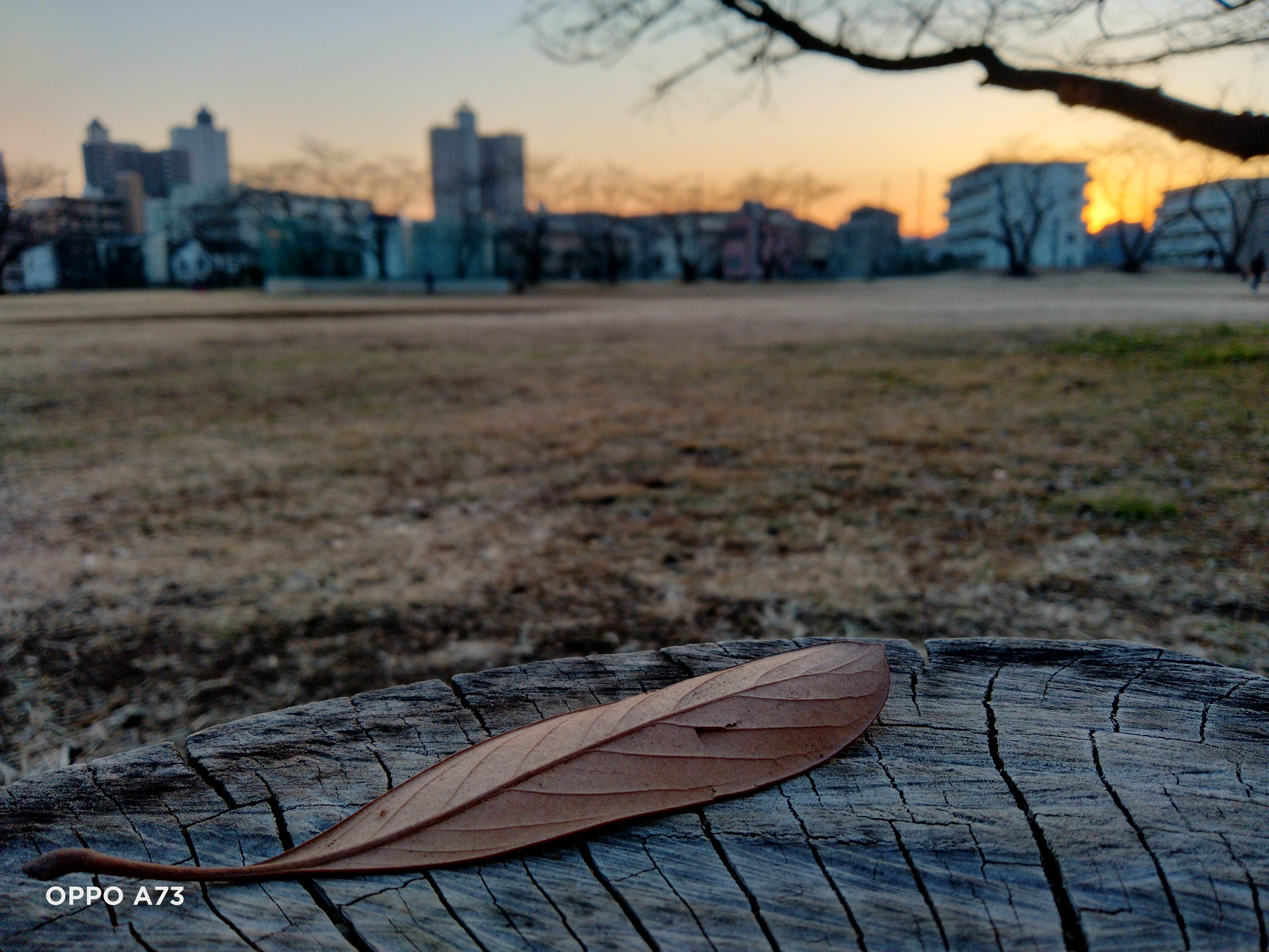 OPPO A73で撮影した夕暮れの写真