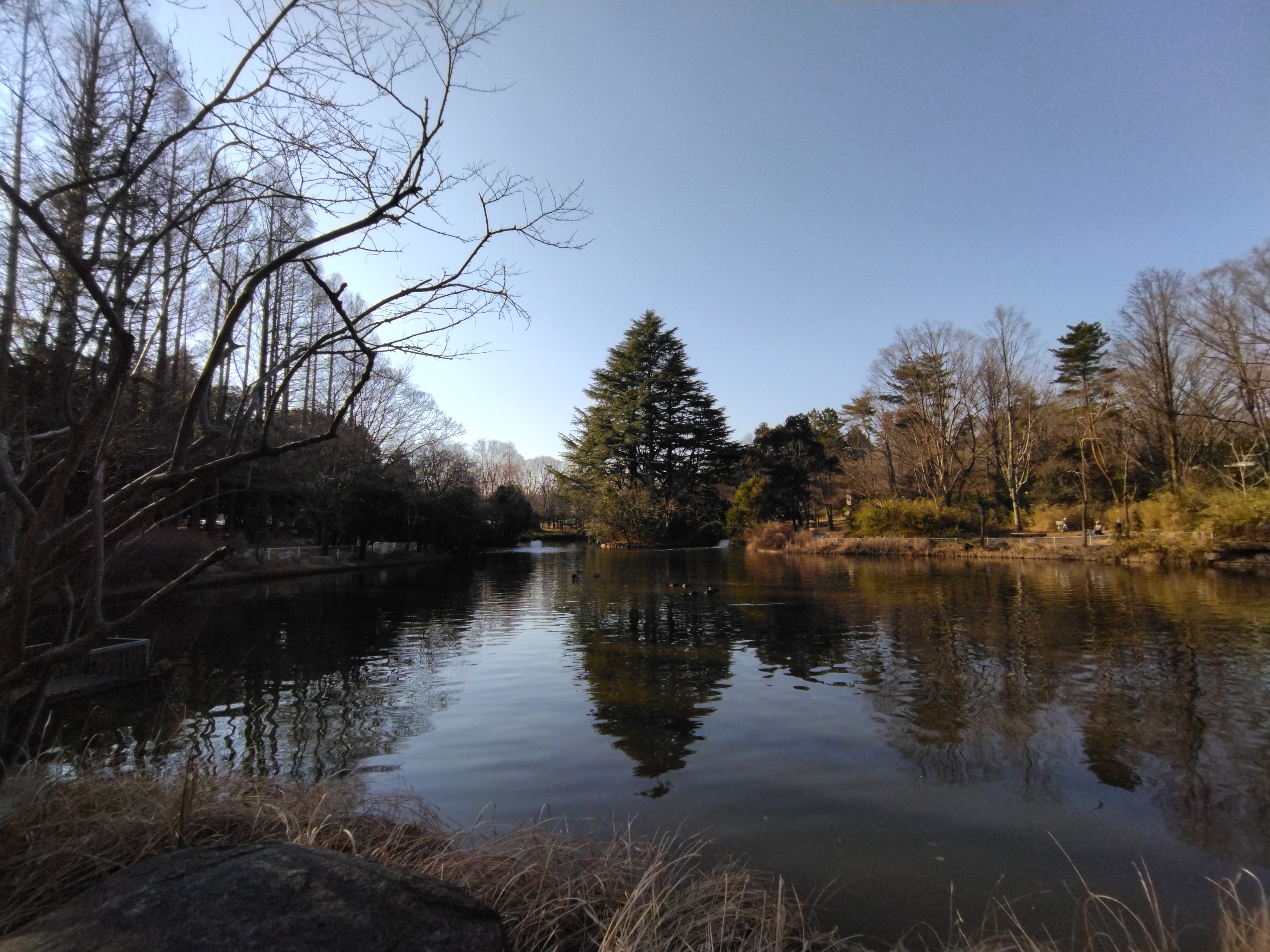 Xiaomi Redmi 9Tの超広角カメラで撮影した水辺の写真