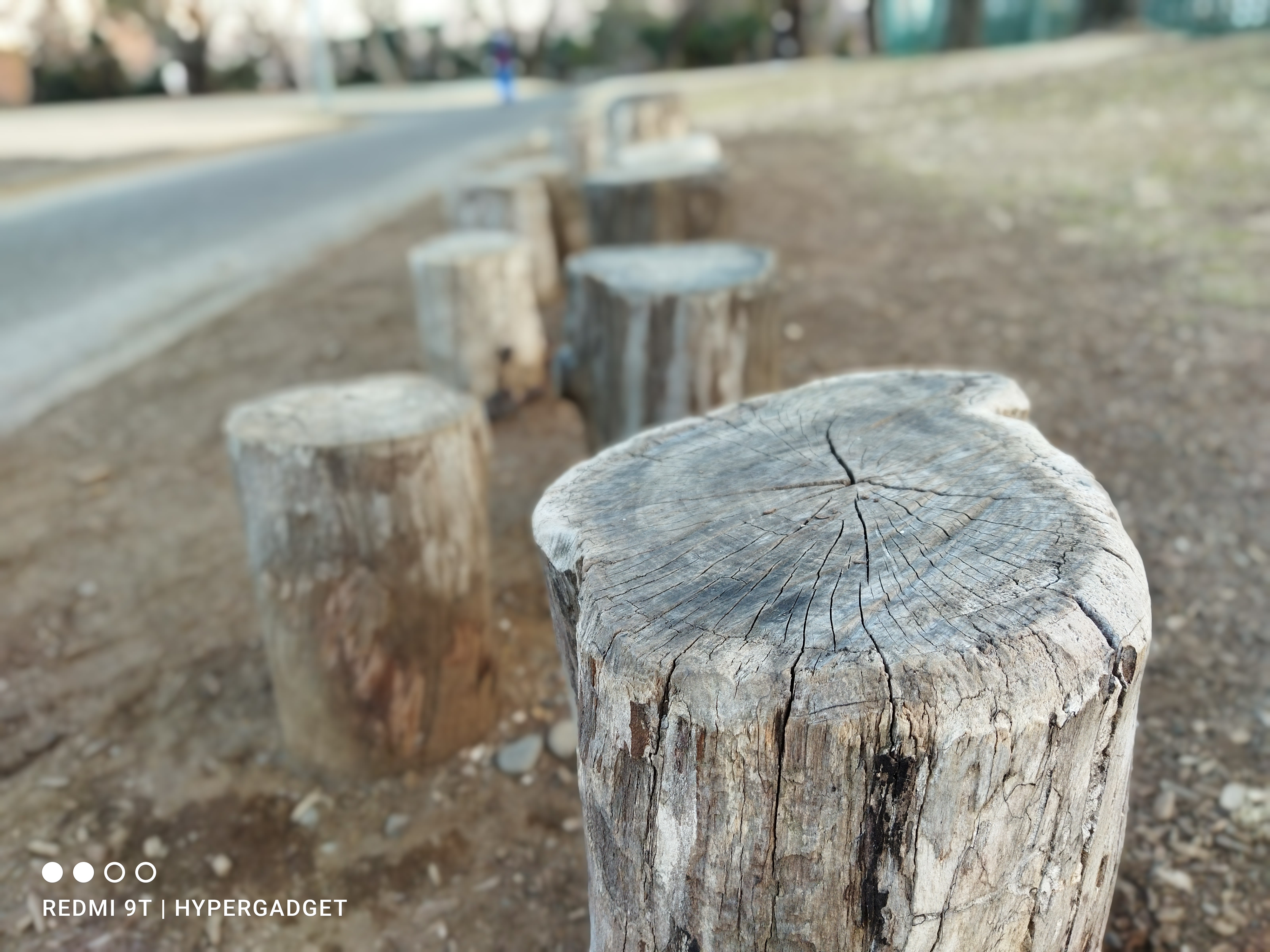 Xiaomi Redmi 9Tのポートレートモードで撮影木の丸太を撮影