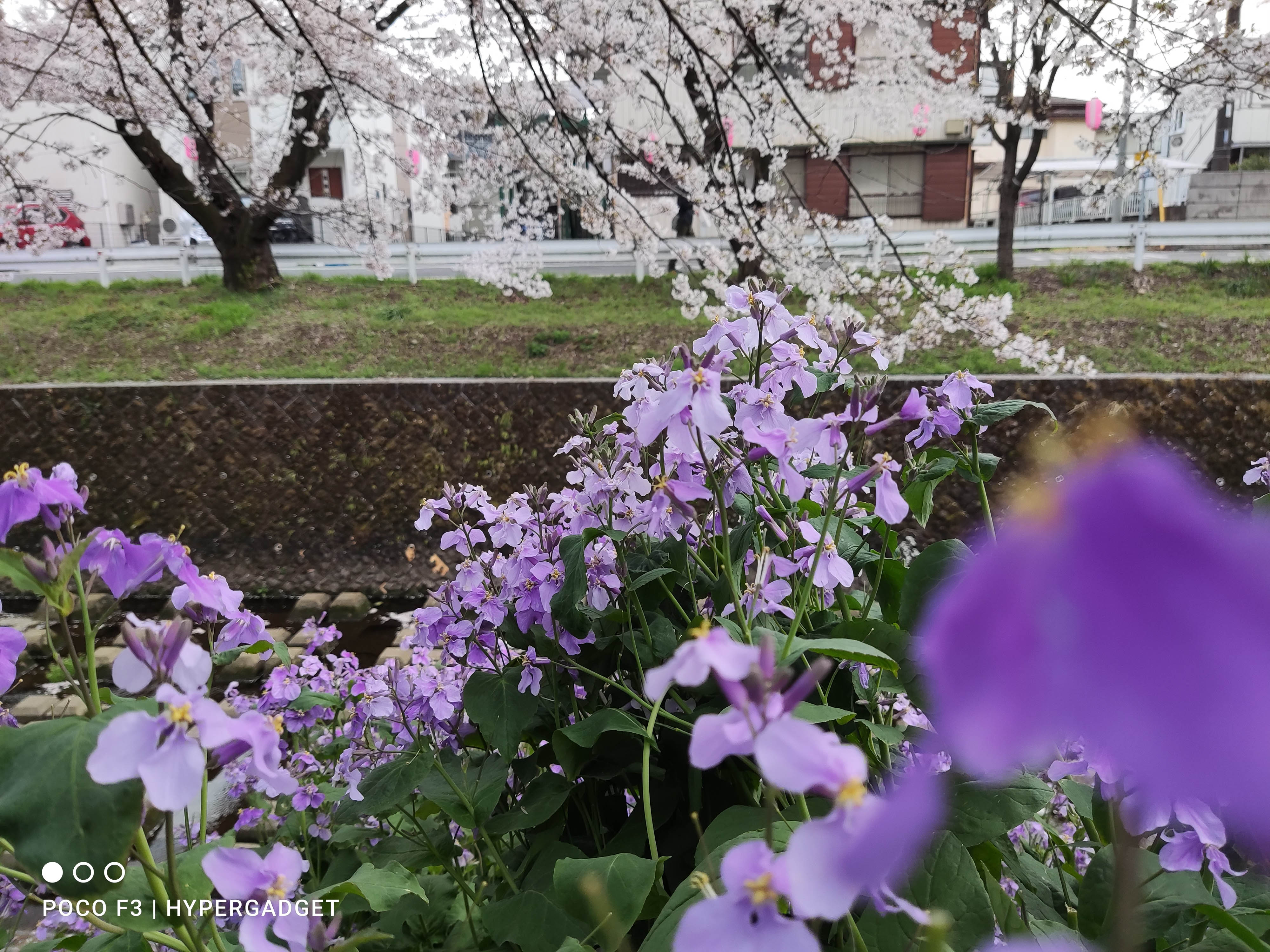 POCO F3 5Gのカメラで撮影した画像4