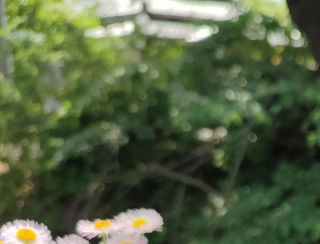 Redmi Note 10 Proで撮影した画像の背景を拡大