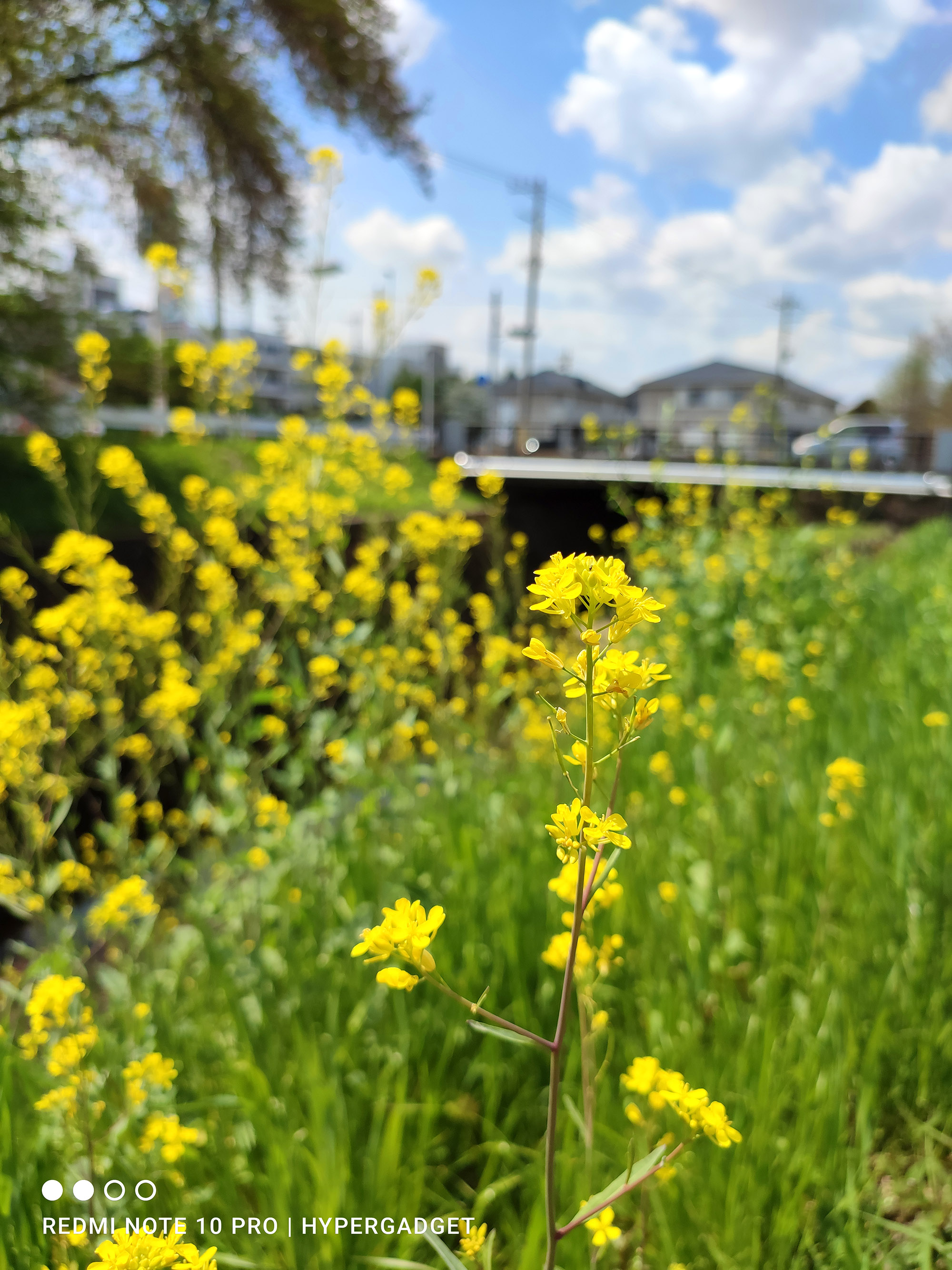 Redmi Note 10 Proのメインカメラで撮影した画像をポップな色調に加工