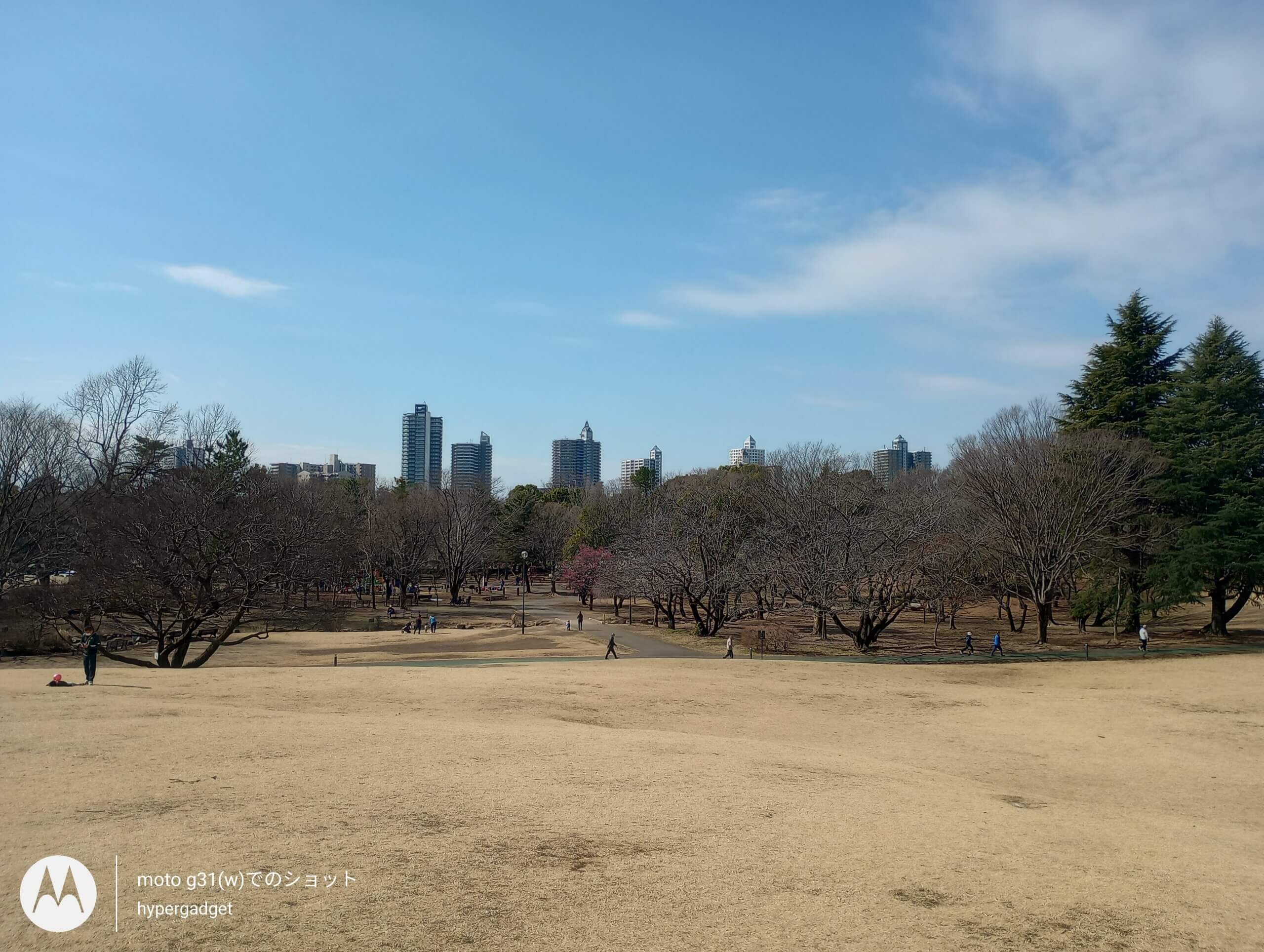 晴れた公園2