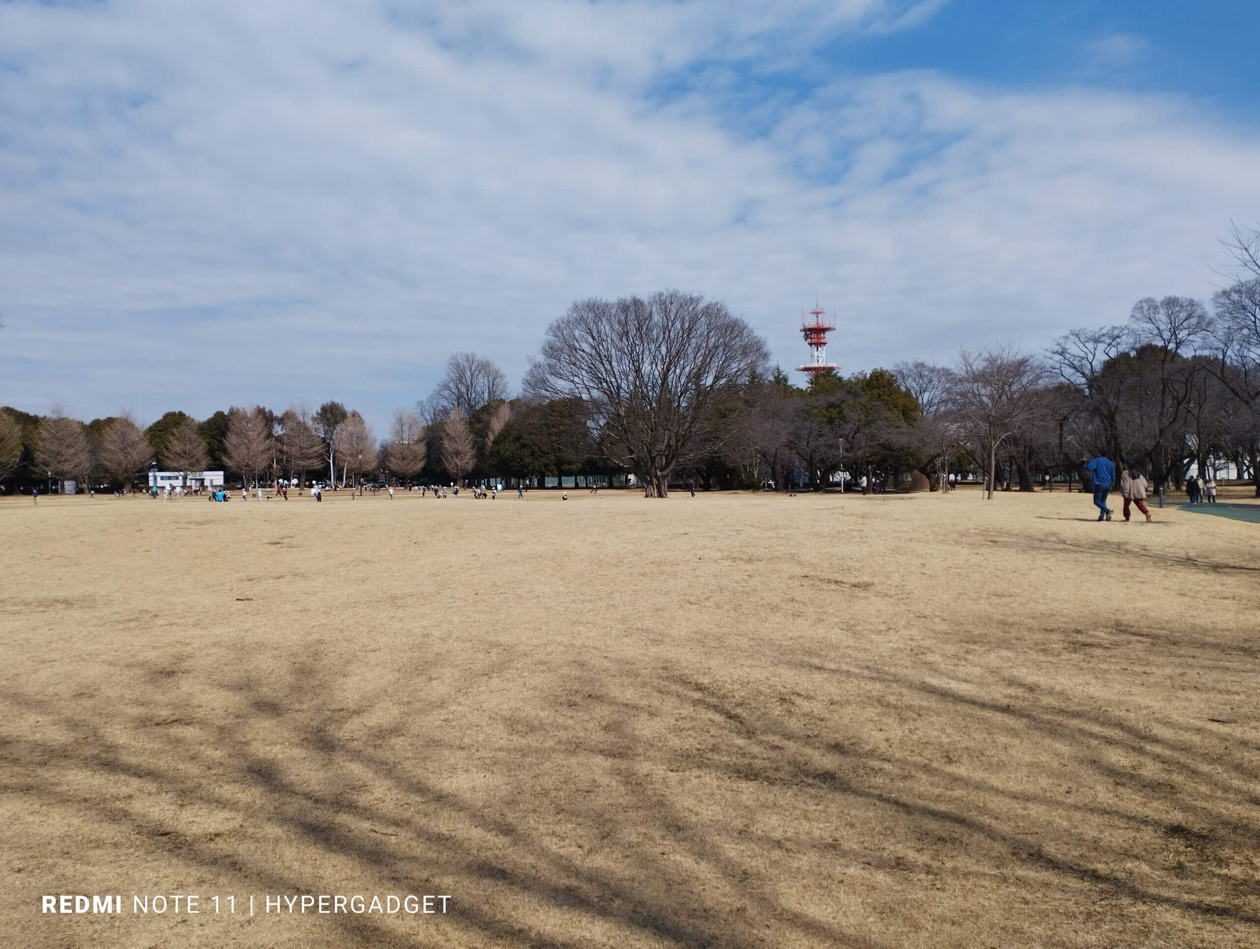 公園　5千万画素撮影
