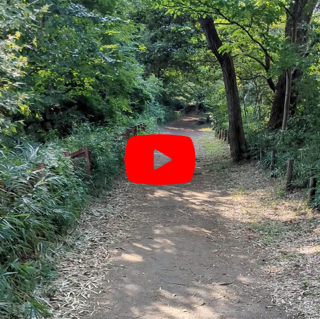 Pixel 6a手ブレ補正