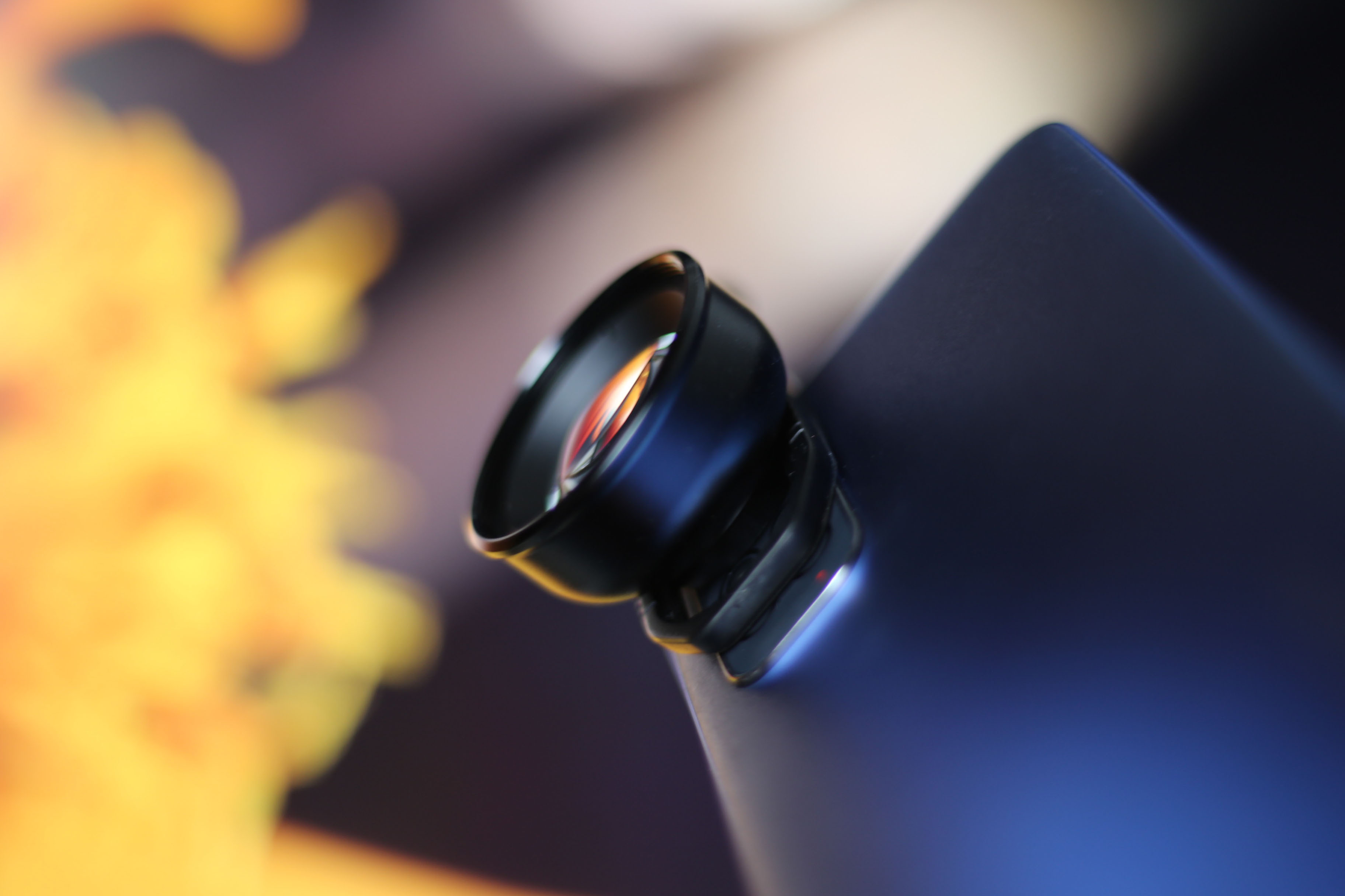 2千円台で買えるRedmi Note 11に3千円程度のマクロレンズを装着したらどんな写真が撮れるのか。