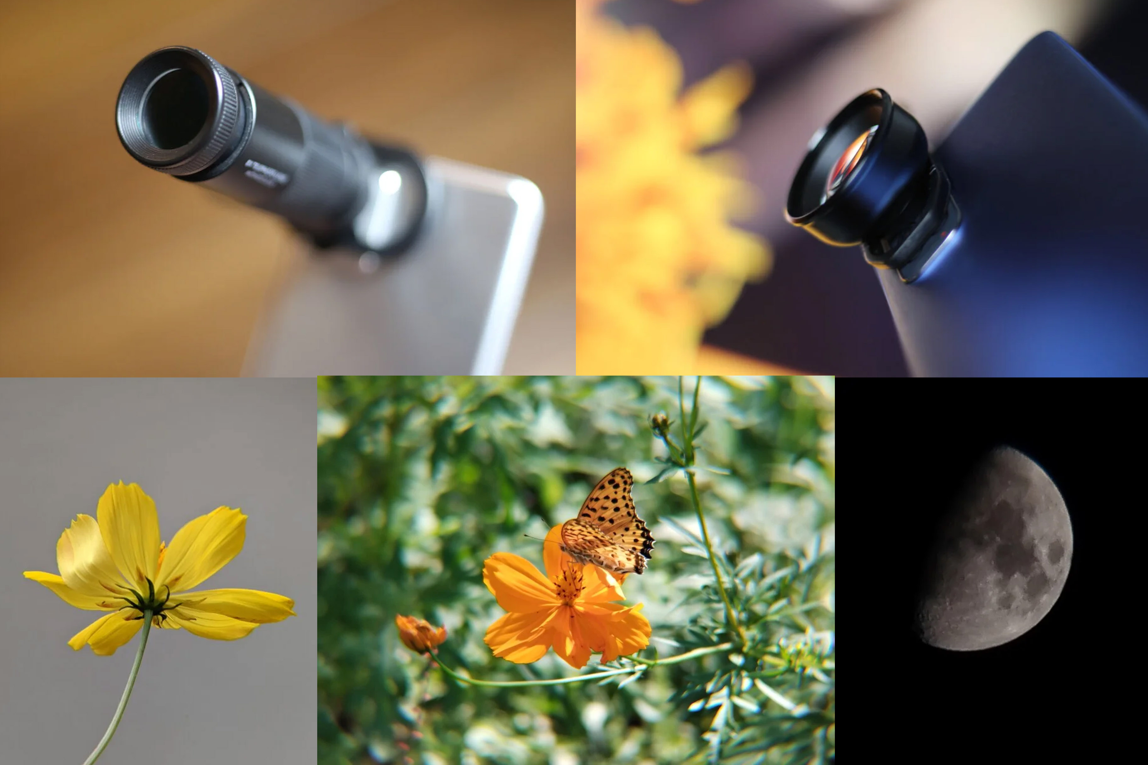 2022年ベストアイテム