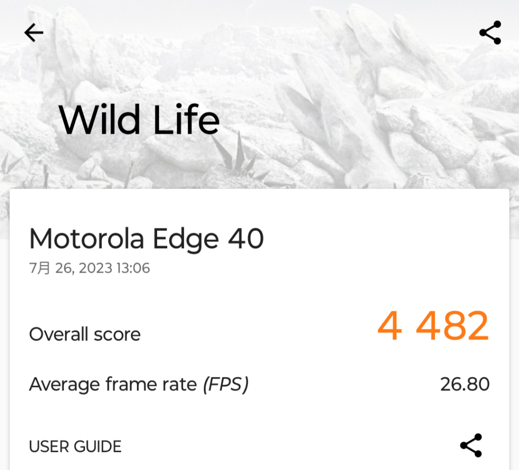 Motorola edge 40 Wild Life