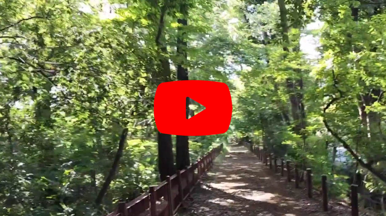 OPPO Reno9 Aで撮影した動画