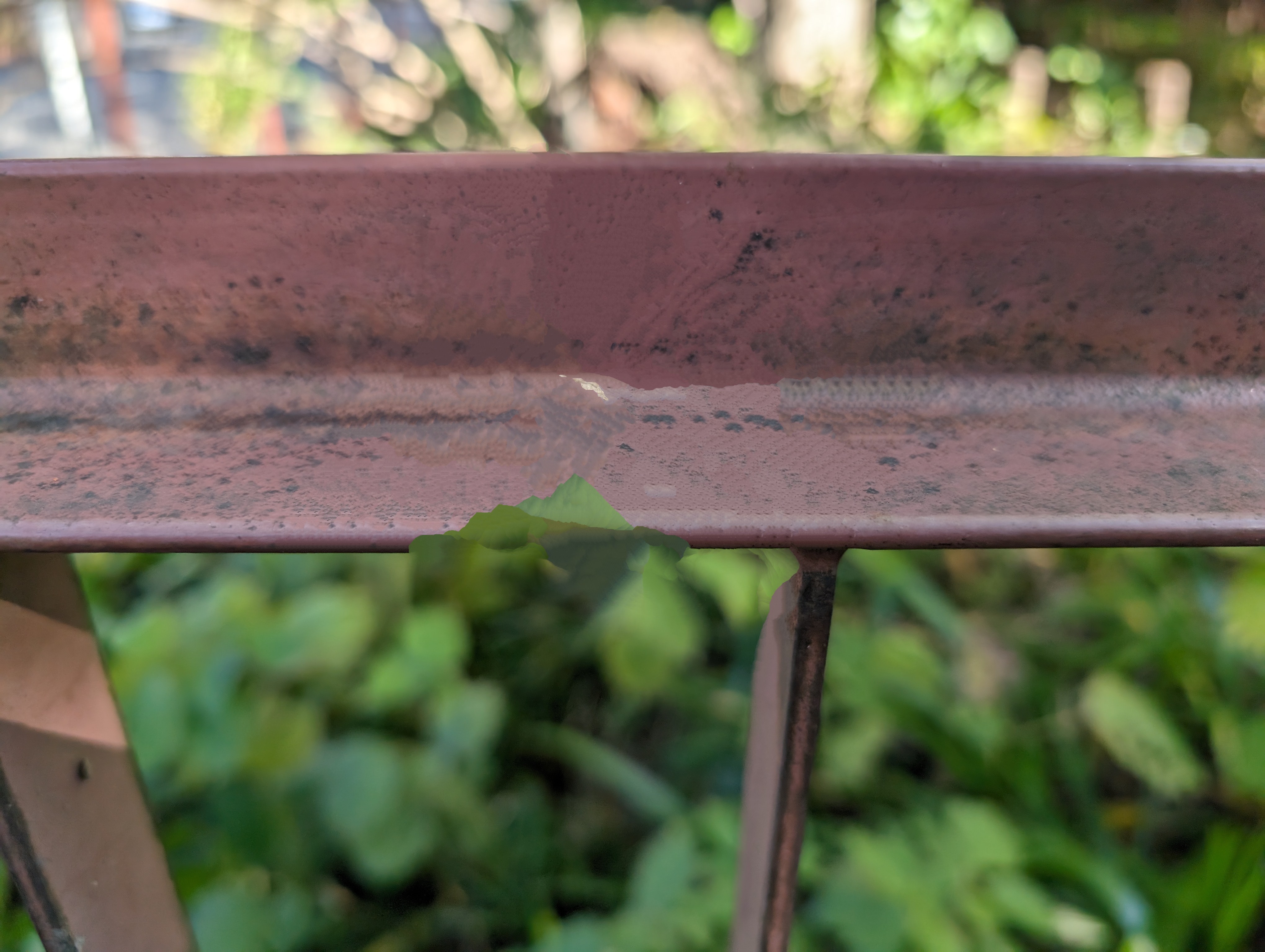 枯れ葉消した後