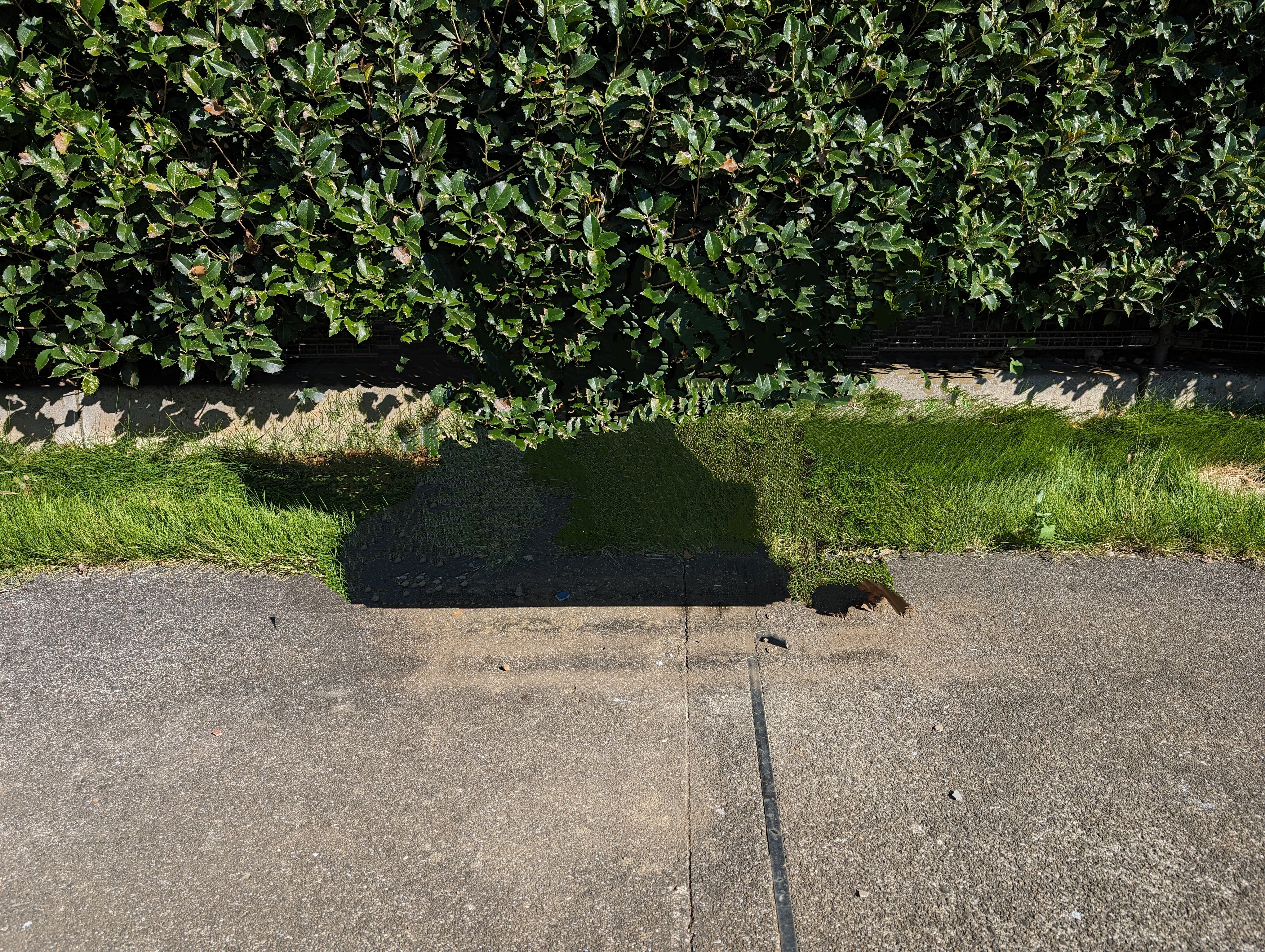 ベンチ消した後