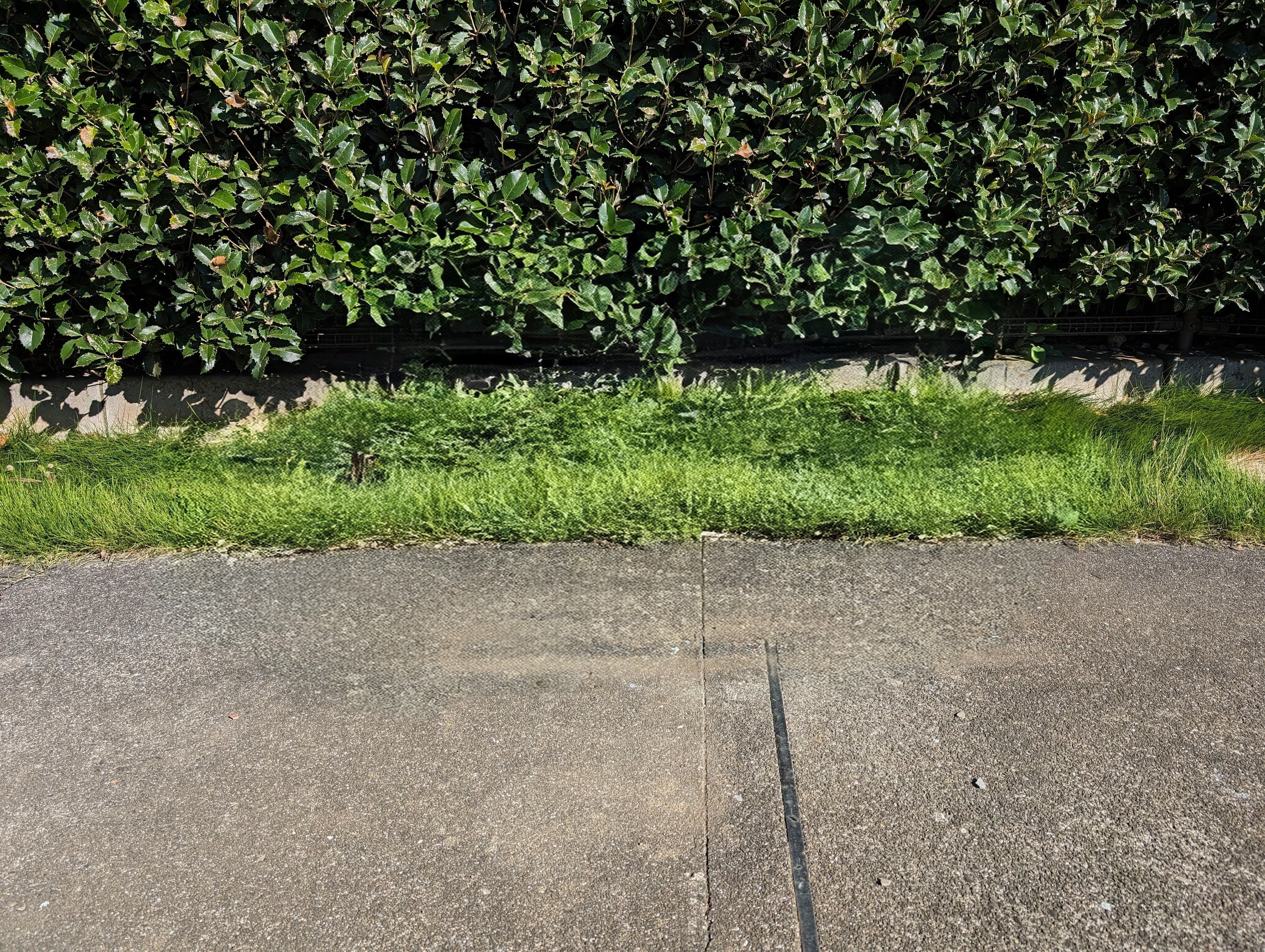 上位消しゴムマジック消去後