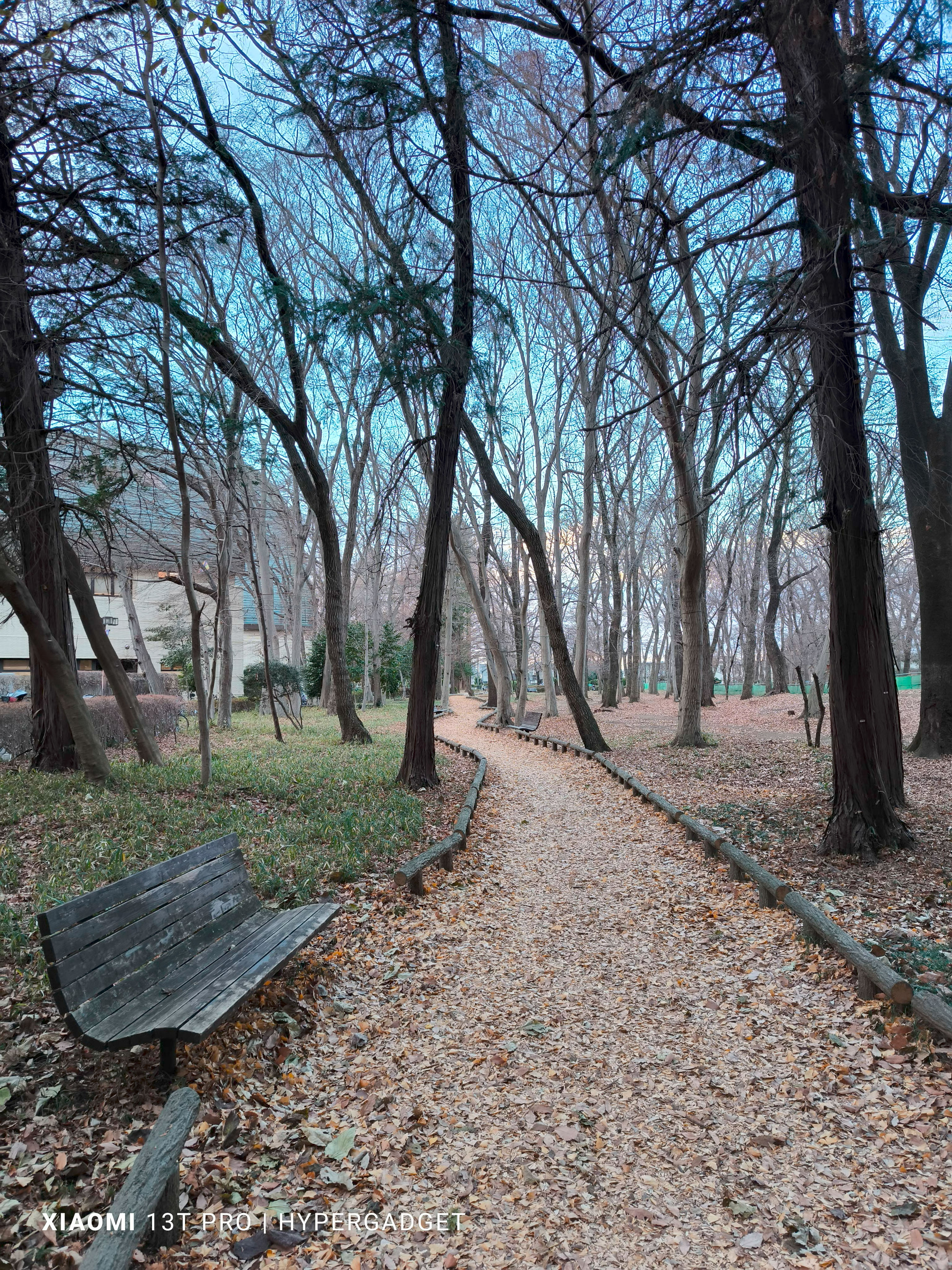 枯れ葉とベンチ2