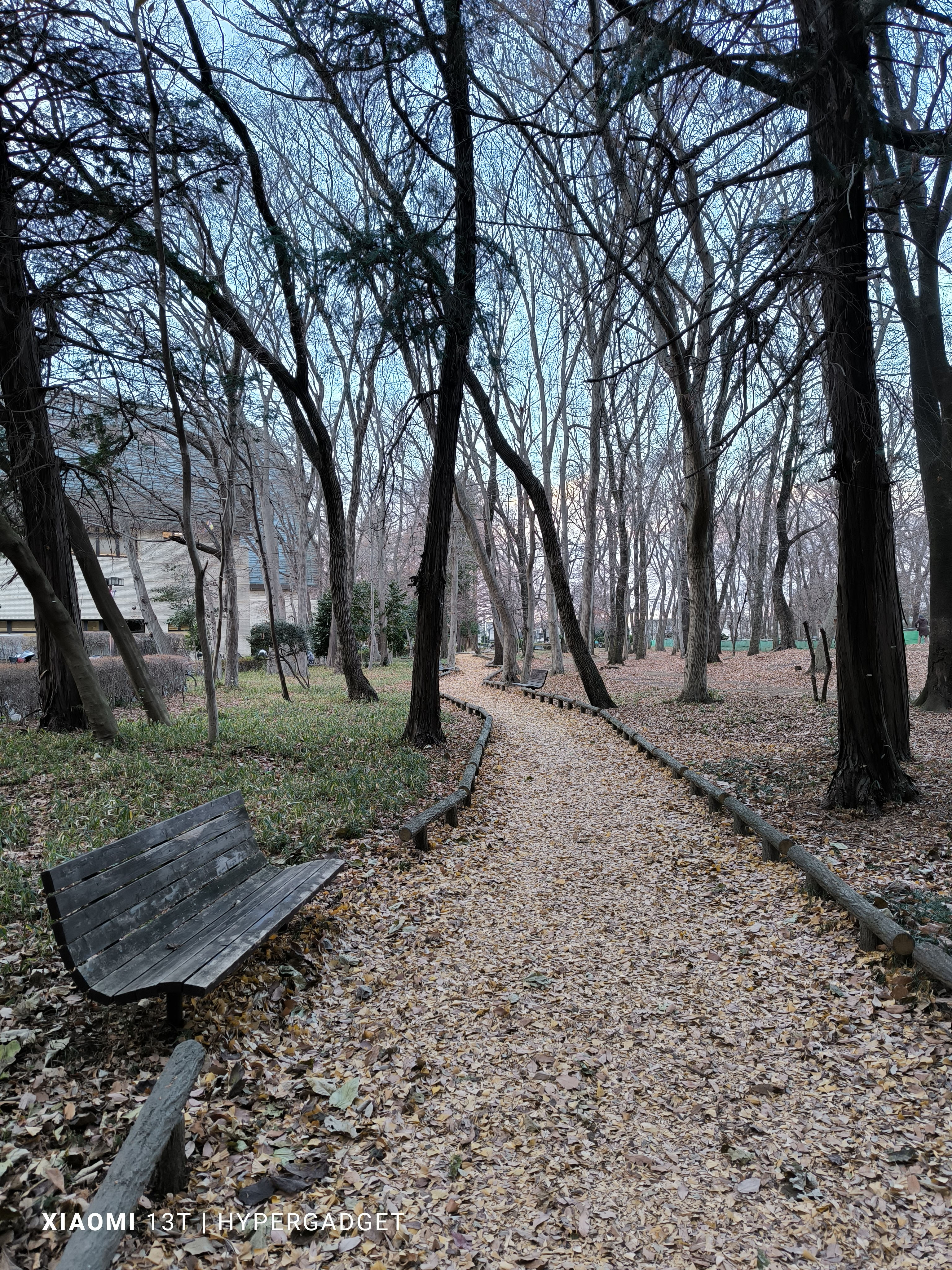 枯れ葉とベンチ