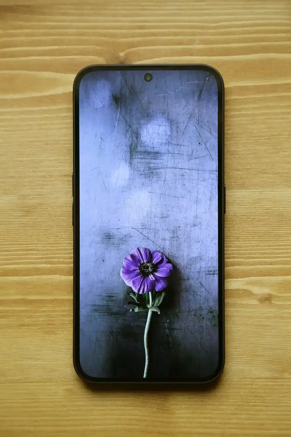 ディスプレイ縦