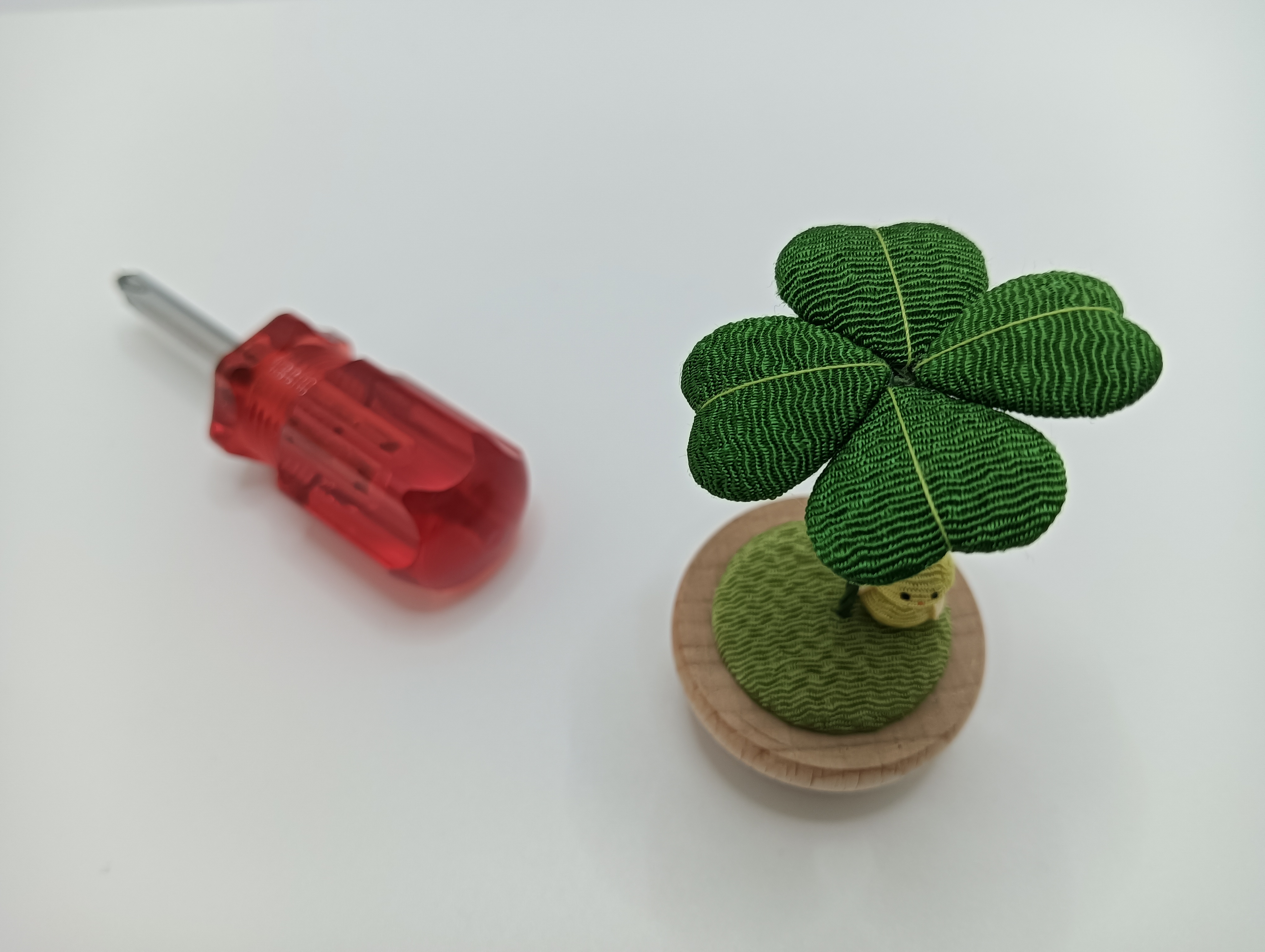 OPPO A79 5Gで撮影