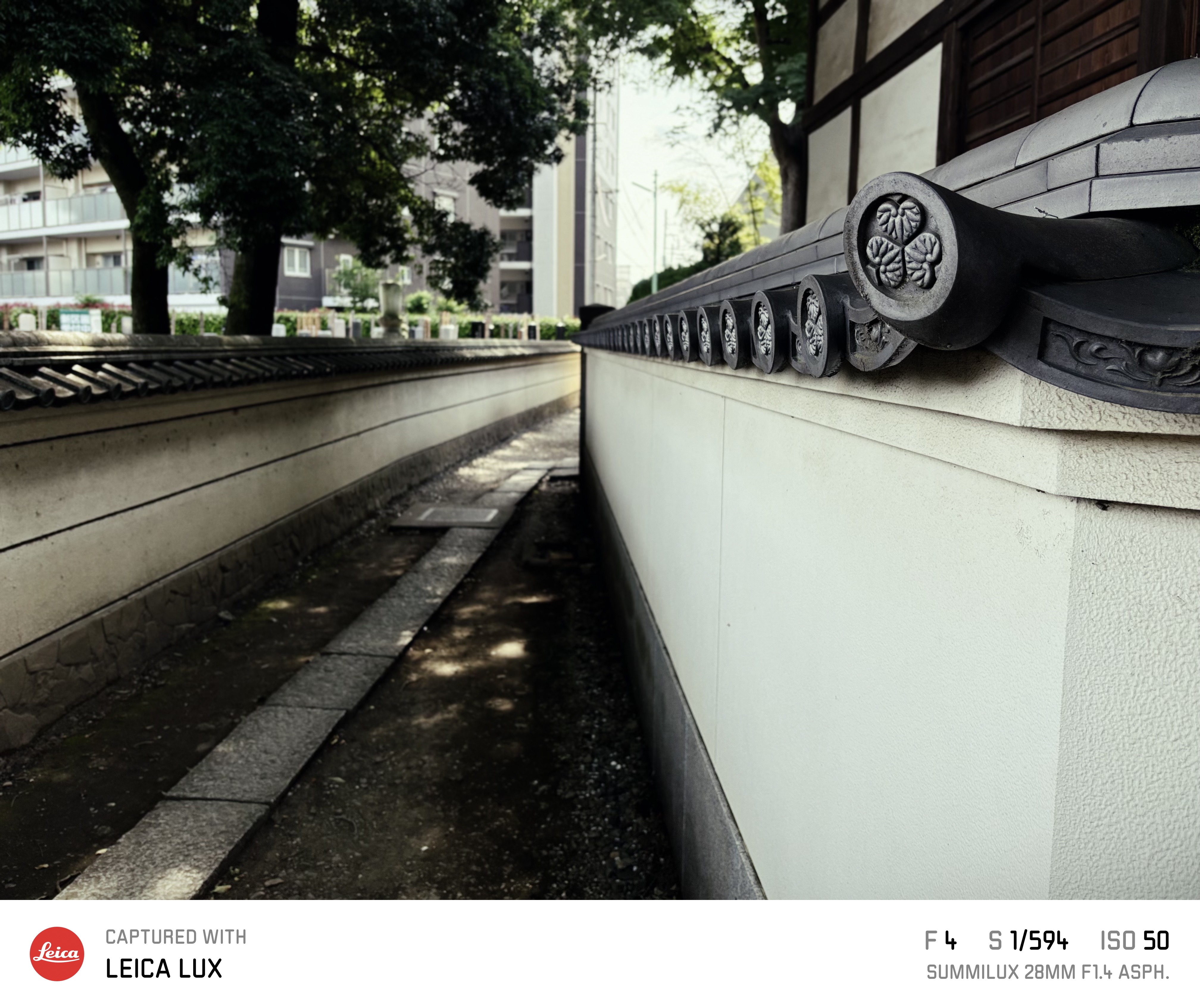Leica LUX撮影6