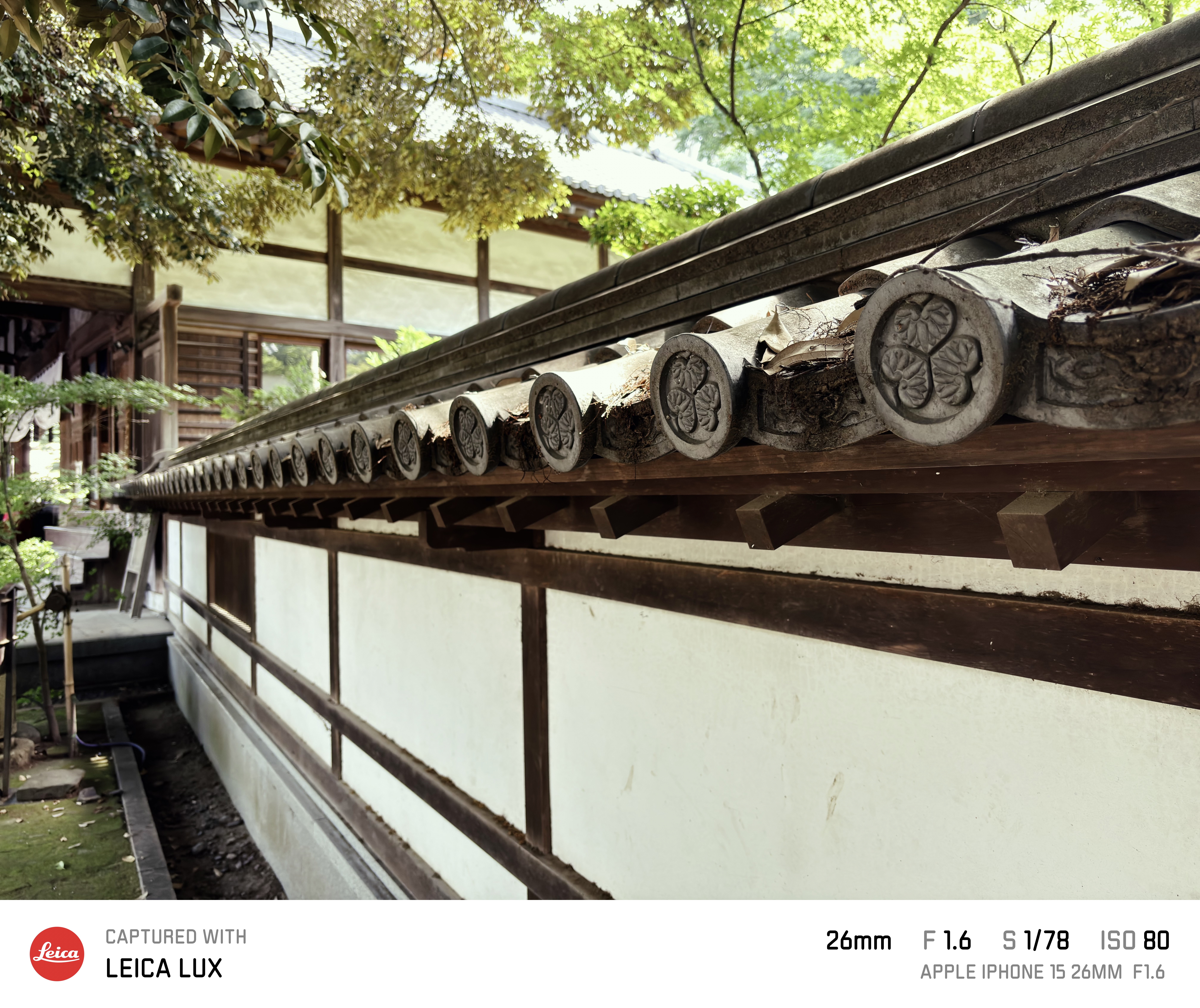 Leica LUX撮影4