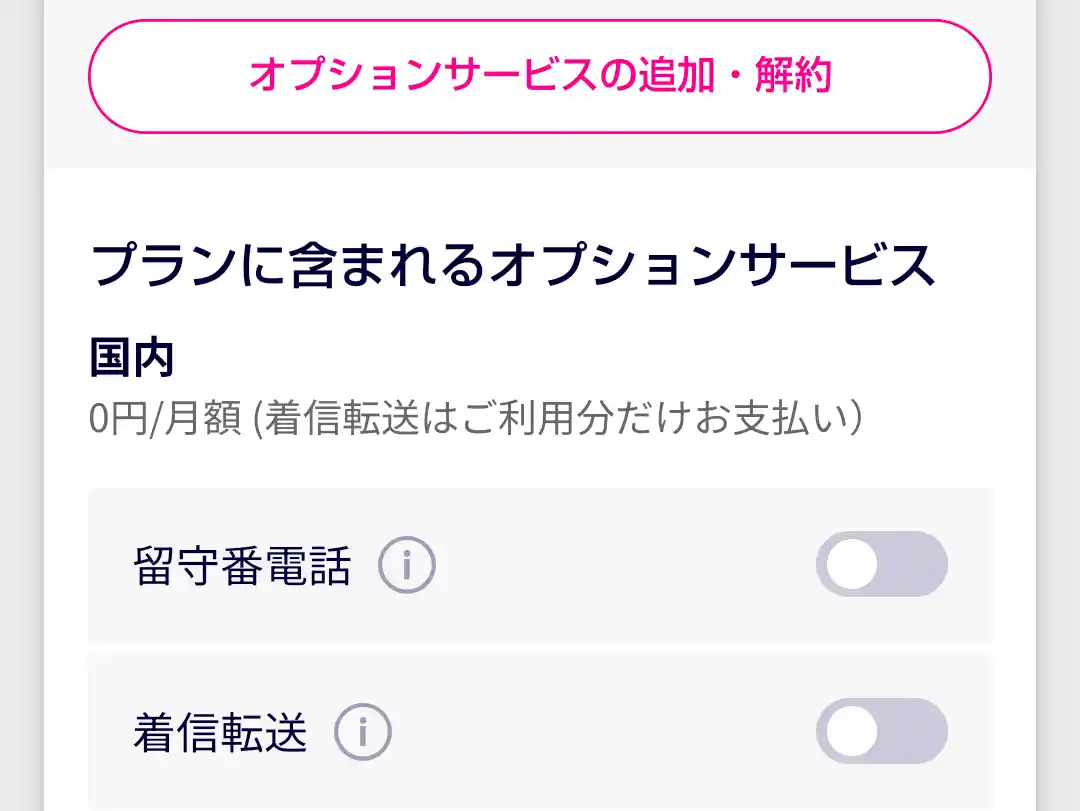 オプションサービス