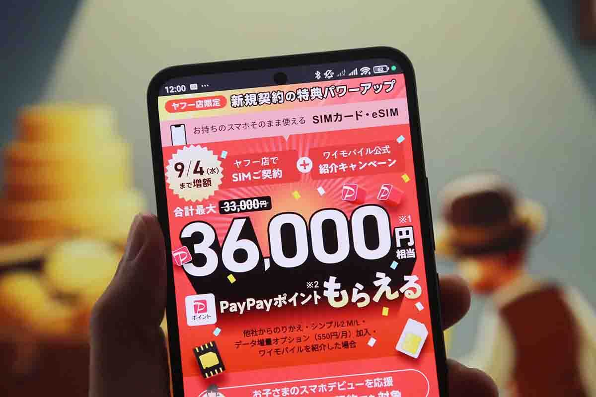 ワイモバイルキャンペーン