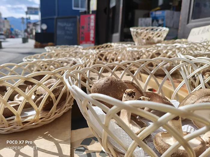 かごに入った椎茸