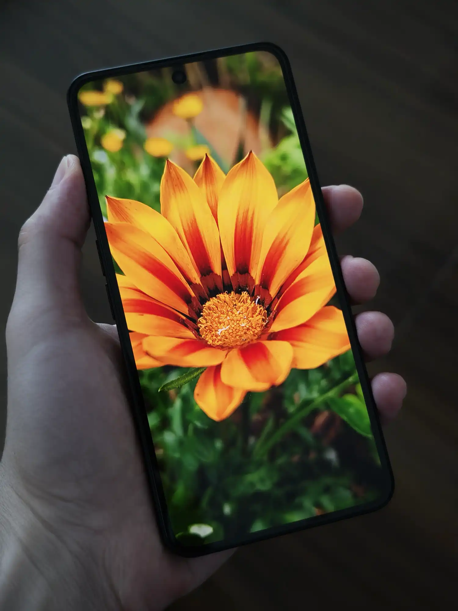 ベゼルレスディスプレイ