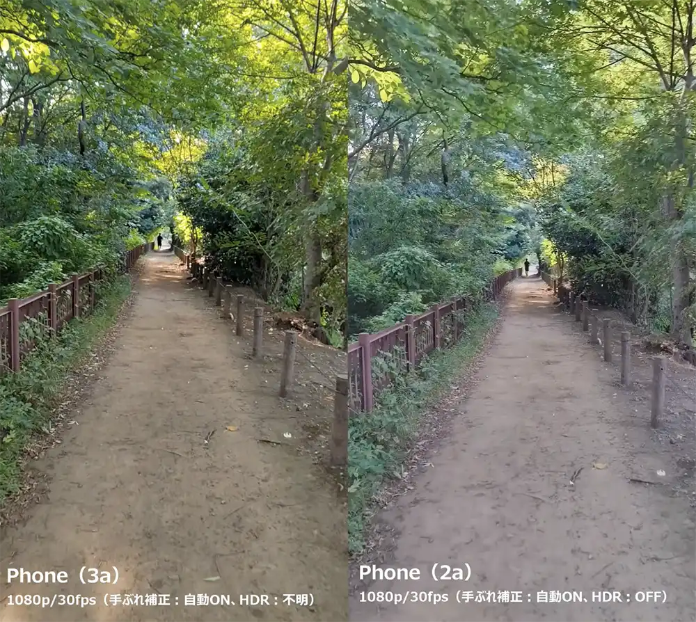 森を歩く動画サムネイル1