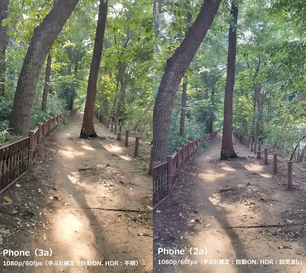 森を歩く動画サムネイル2