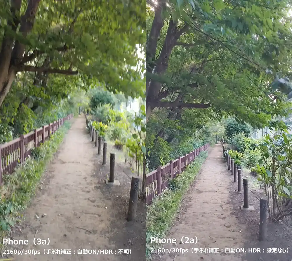 森を歩く動画サムネイル3