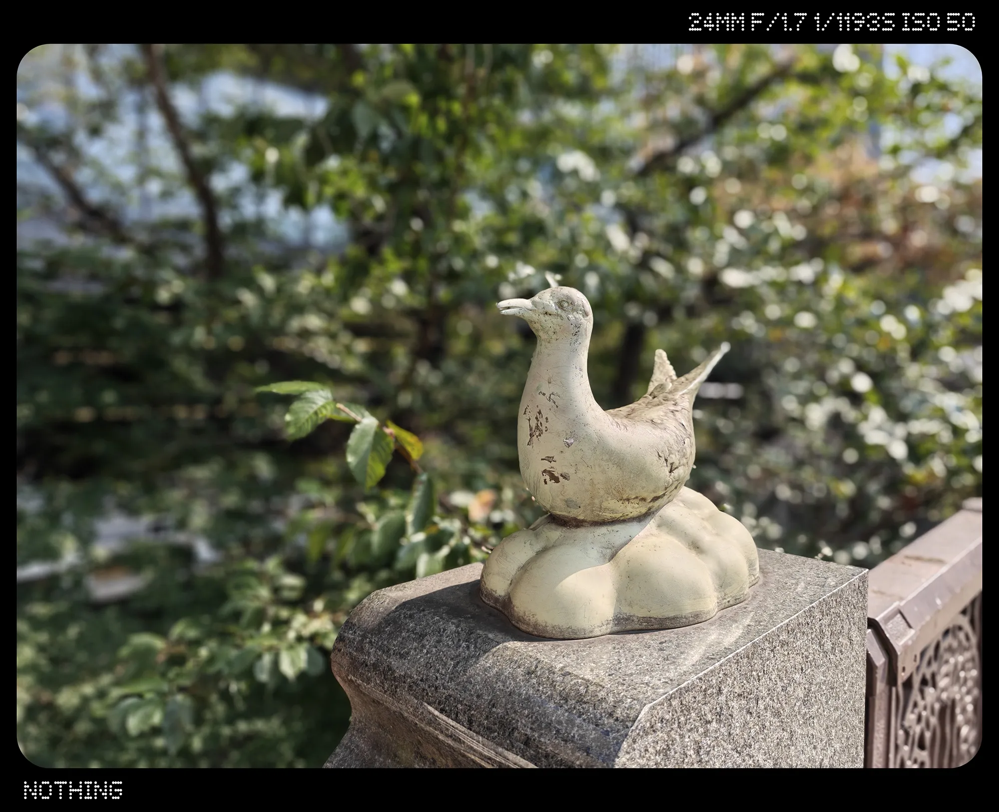 鳩の石像1