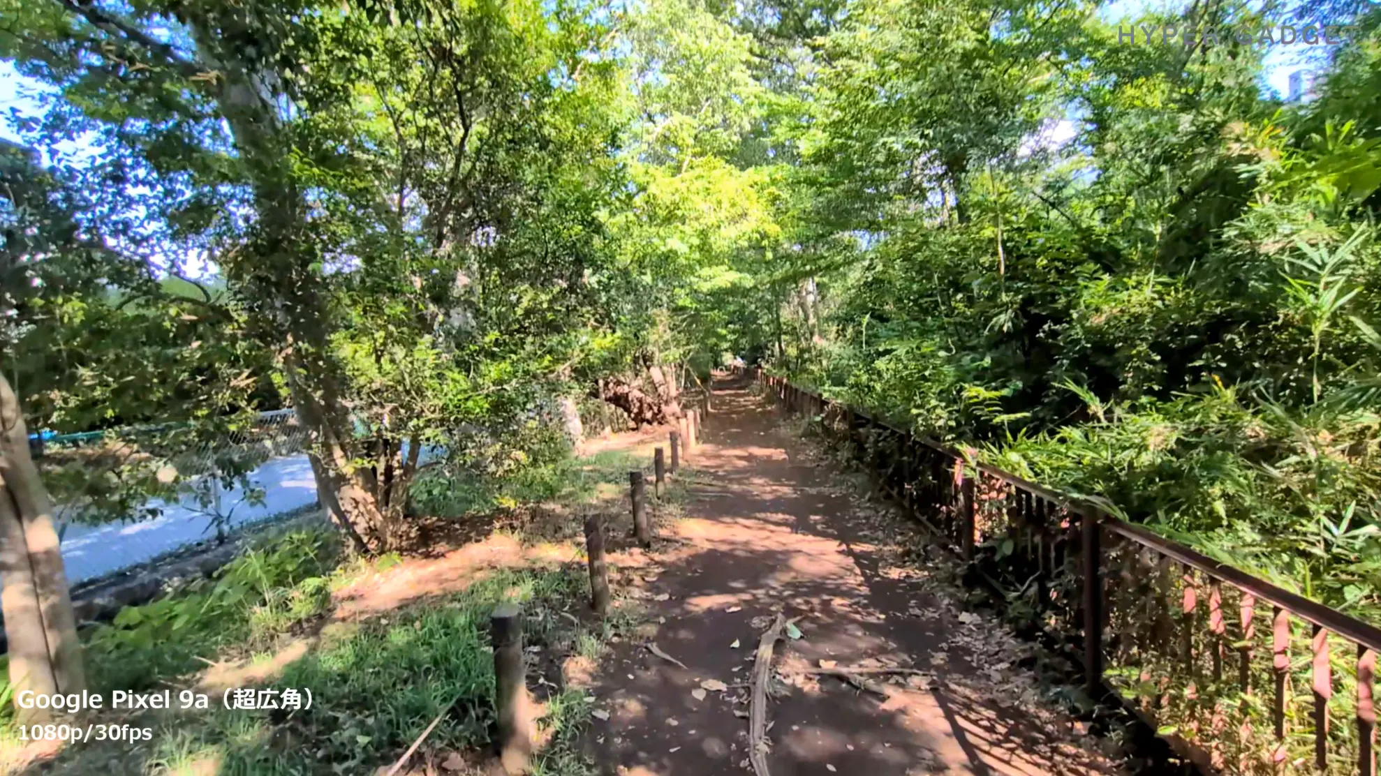 超広角動画撮影1