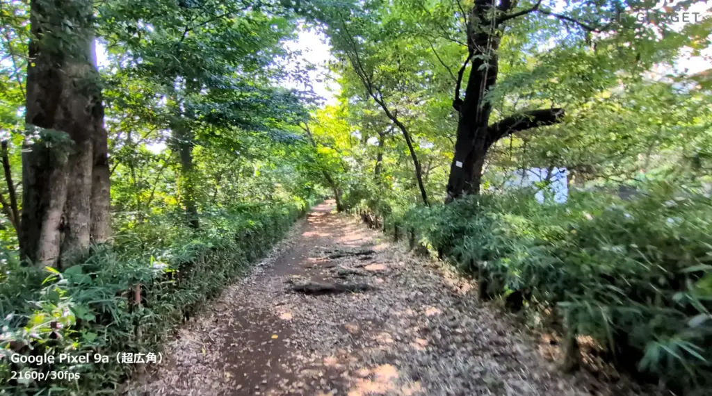 超広角動画撮影3