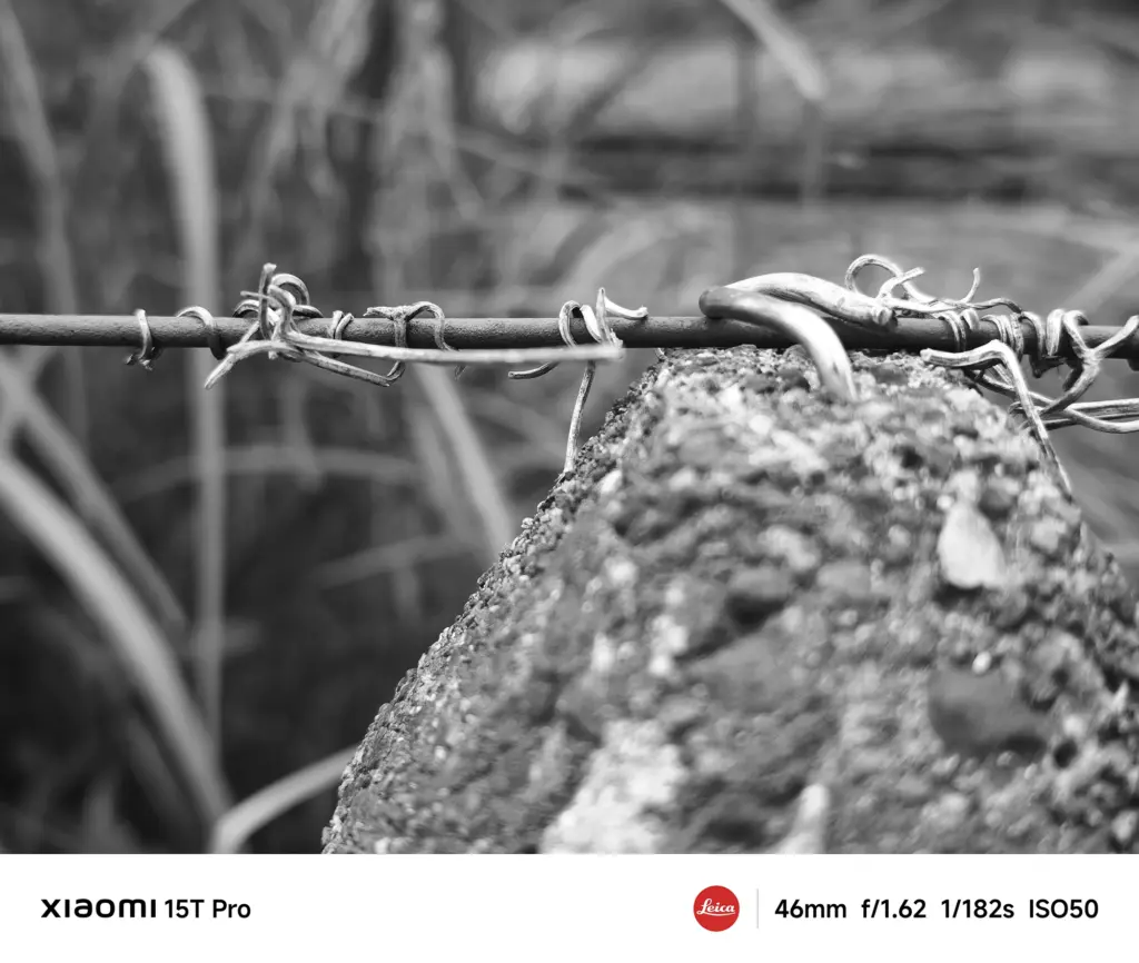 Xiaomi 15T Proで撮影した有刺鉄線とコンクリートのモノクロ作例（46mm中望遠）