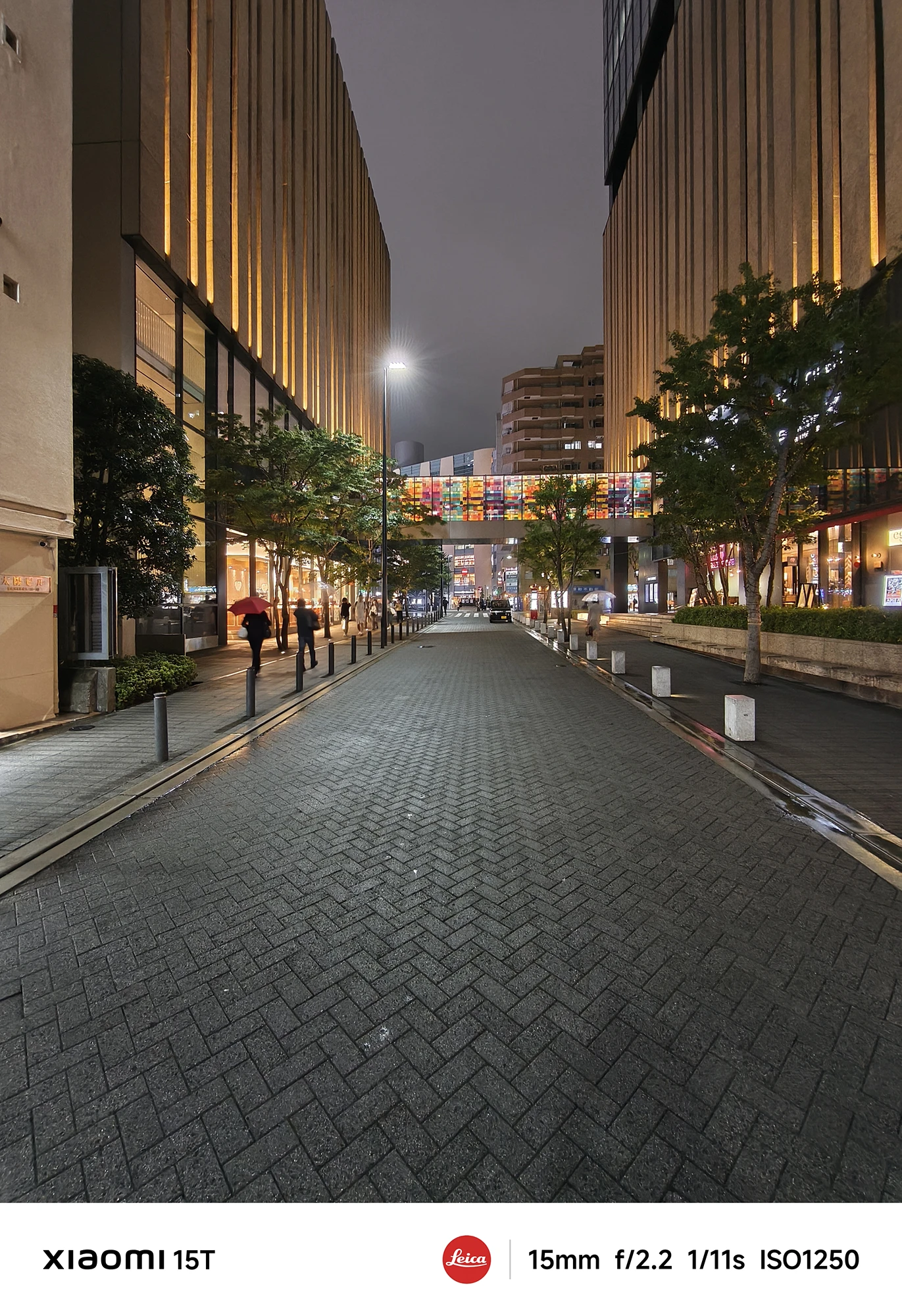 Xiaomi 15Tの超広角カメラで撮影した並木道の夜景。建物の照明と街路樹が整然と並び、都会的な奥行きを感じさせる構図