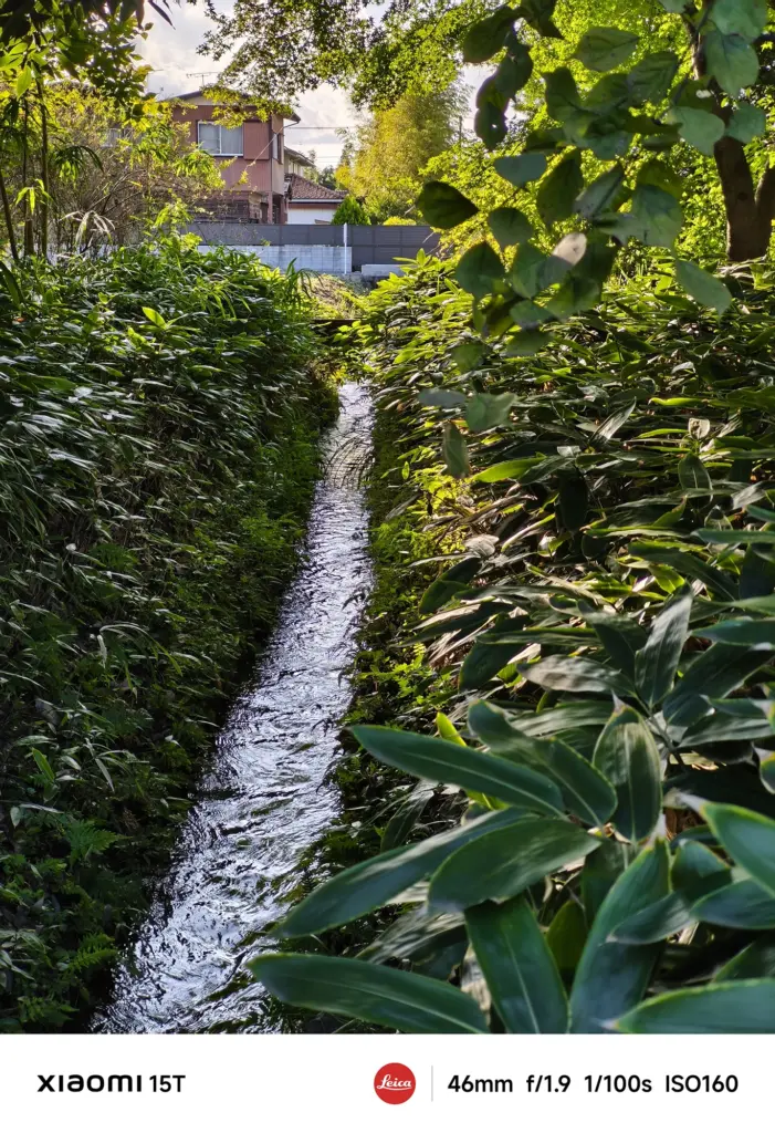 Xiaomi 15Tの望遠カメラで撮影した緑に囲まれた小川。46mmレンズの圧縮効果で奥の家屋まで立体的に映し出した自然風景