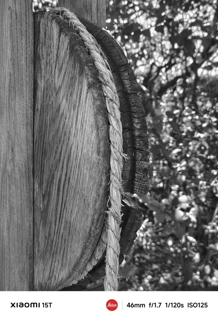 Xiaomi 15TのLeicaモノクロフィルターで撮影した木の柱と縄。自然素材の質感を繊細な階調で再現し、静かな力強さを感じさせる」