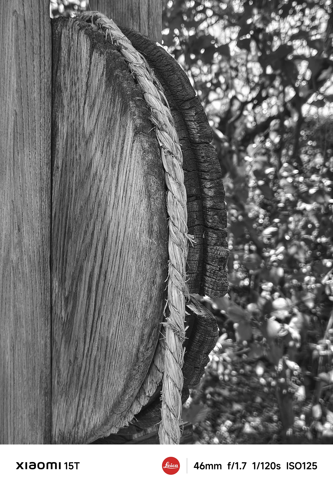 Xiaomi 15TのLeicaモノクロフィルターで撮影した木の柱と縄。自然素材の質感を繊細な階調で再現し、静かな力強さを感じさせる」