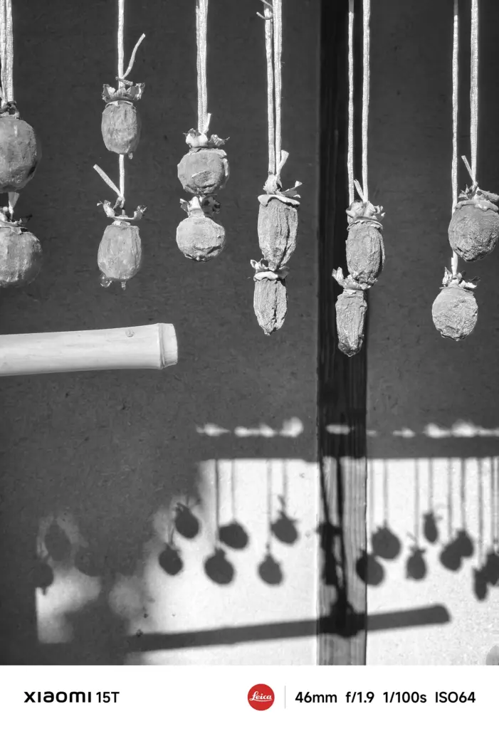 Xiaomi 15TのLeicaモノクロフィルターで撮影した干し柿。光と影がリズミカルに映り、被写体の立体感を際立たせる一枚