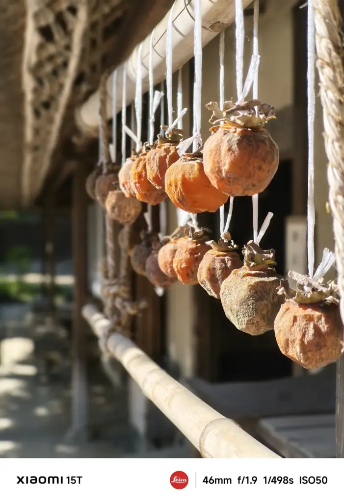Xiaomi 15Tのポートレートモードで撮影した干し柿。立体感のあるボケと自然光の柔らかさが際立つLeica Authenticスタイル