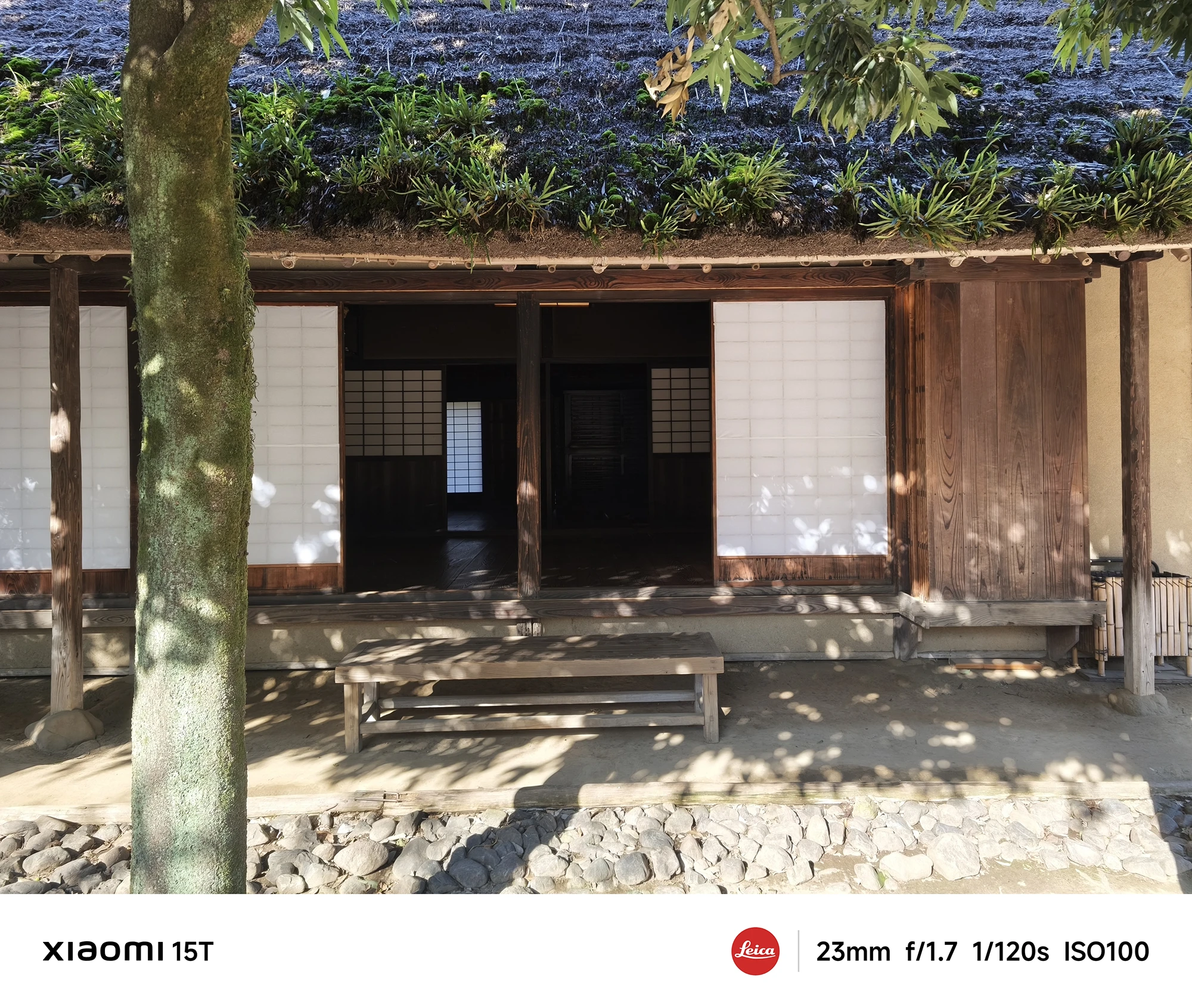 Xiaomi 15Tのメインカメラで撮影した藁葺き屋根の古民家。伝統的な日本建築を23mmレンズで広く鮮明に描いた写真