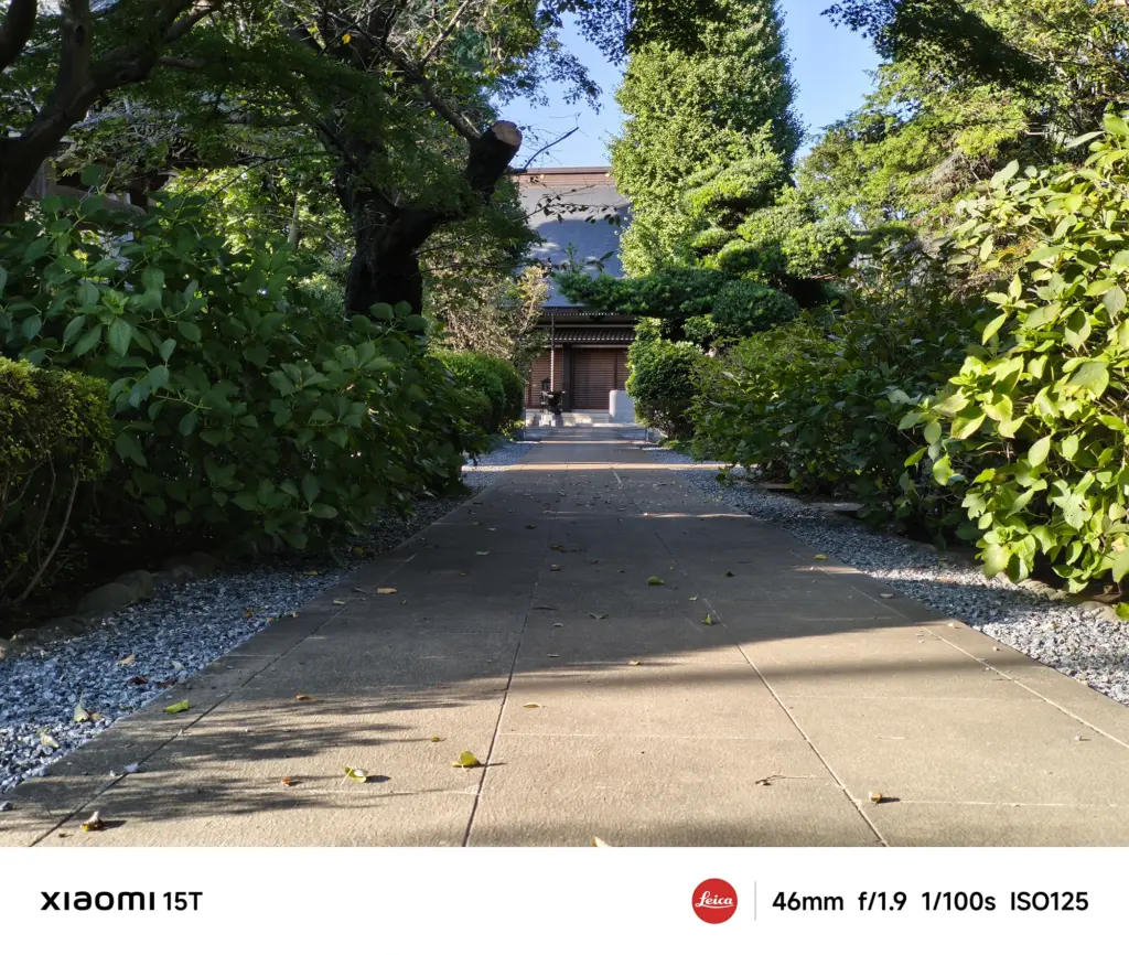 Xiaomi 15Tの望遠カメラで撮影した寺院へ続く参道。46mmの焦点距離で奥行きを強調し、木漏れ日の陰影を美しく表現
