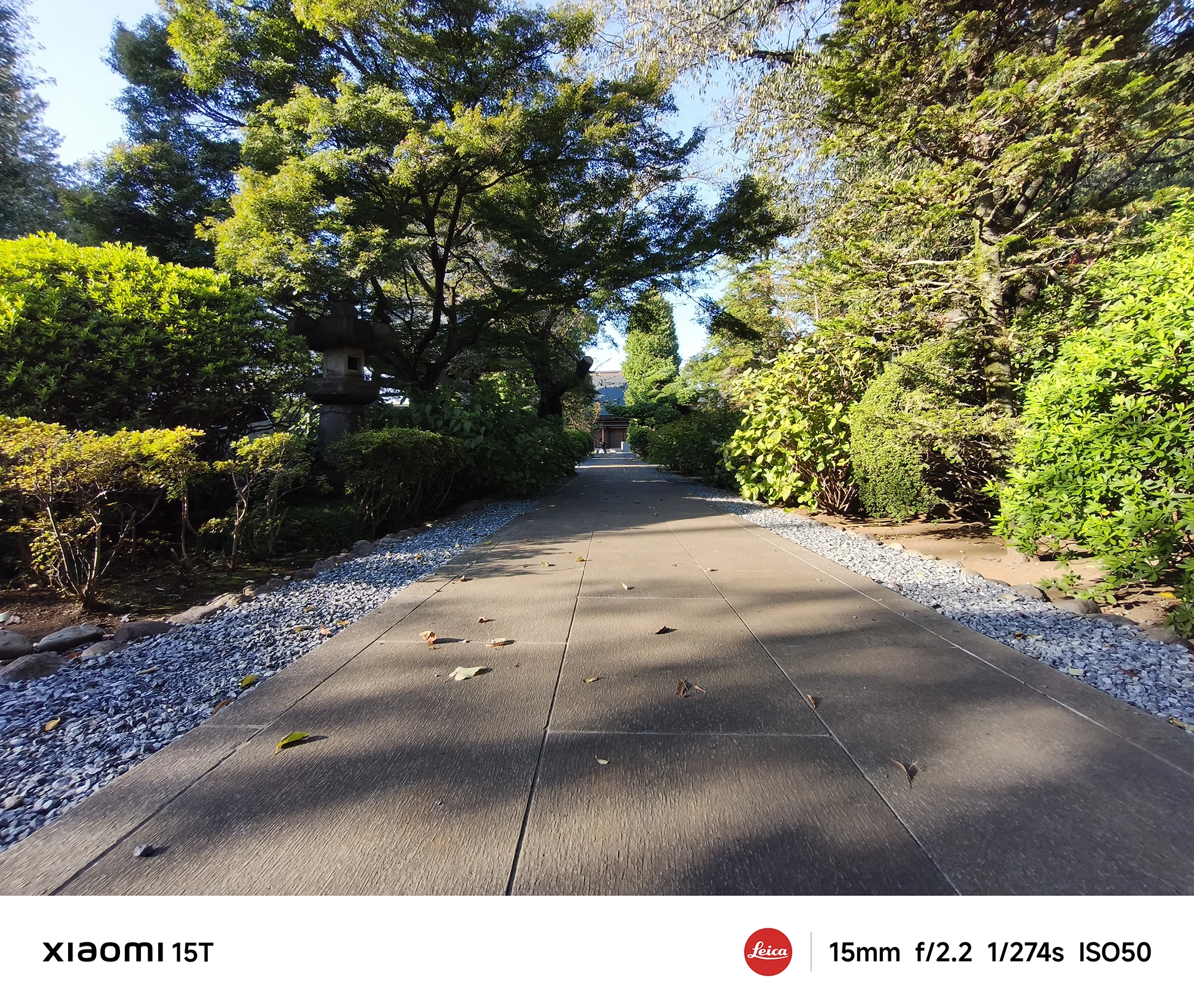 Xiaomi 15Tの超広角カメラで撮影した寺院へ続く石畳の参道。両脇の緑と奥行き感が際立つ広角風景写真