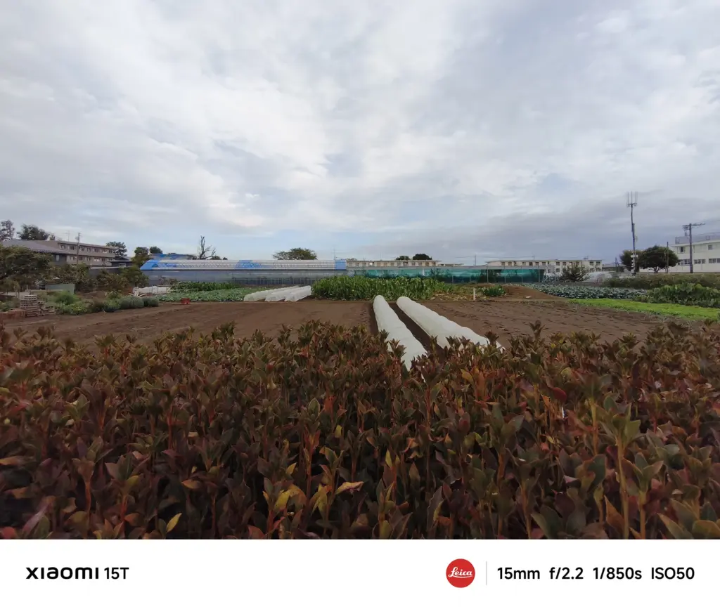 Xiaomi 15Tの超広角カメラで撮影した農地と曇り空の風景。広い画角で地平線まで映し出した自然風景写真