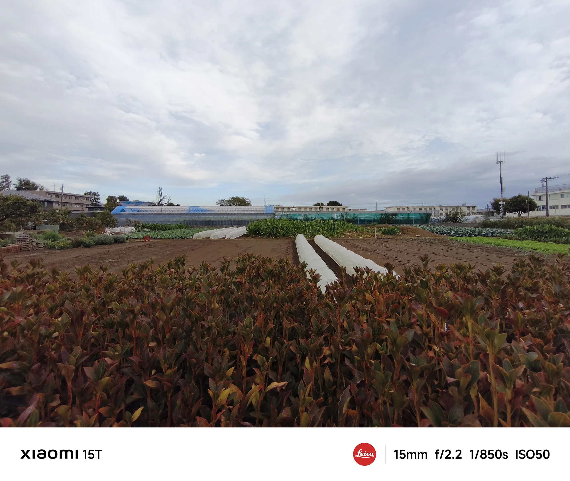 Xiaomi 15Tの超広角カメラで撮影した農地と曇り空の風景。広い画角で地平線まで映し出した自然風景写真