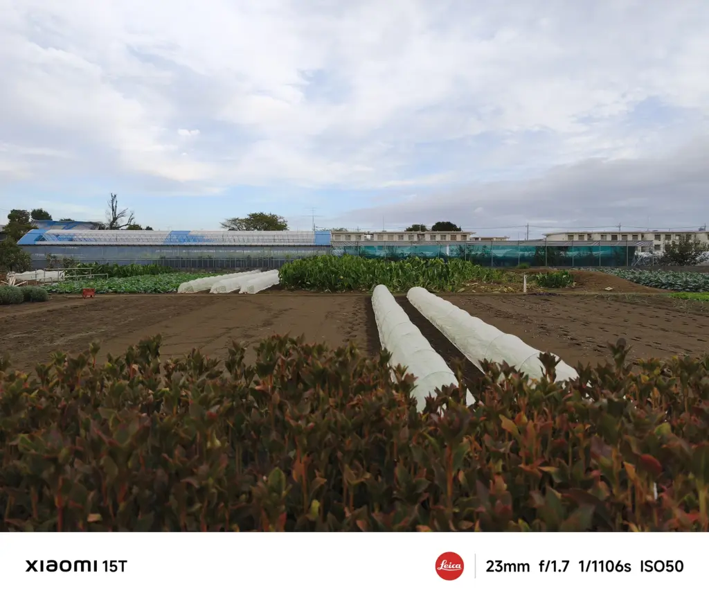 Xiaomi 15Tのメインカメラで撮影した畑と曇り空。奥行きのある構図で地平線までくっきりと捉えた広がりある風景写真