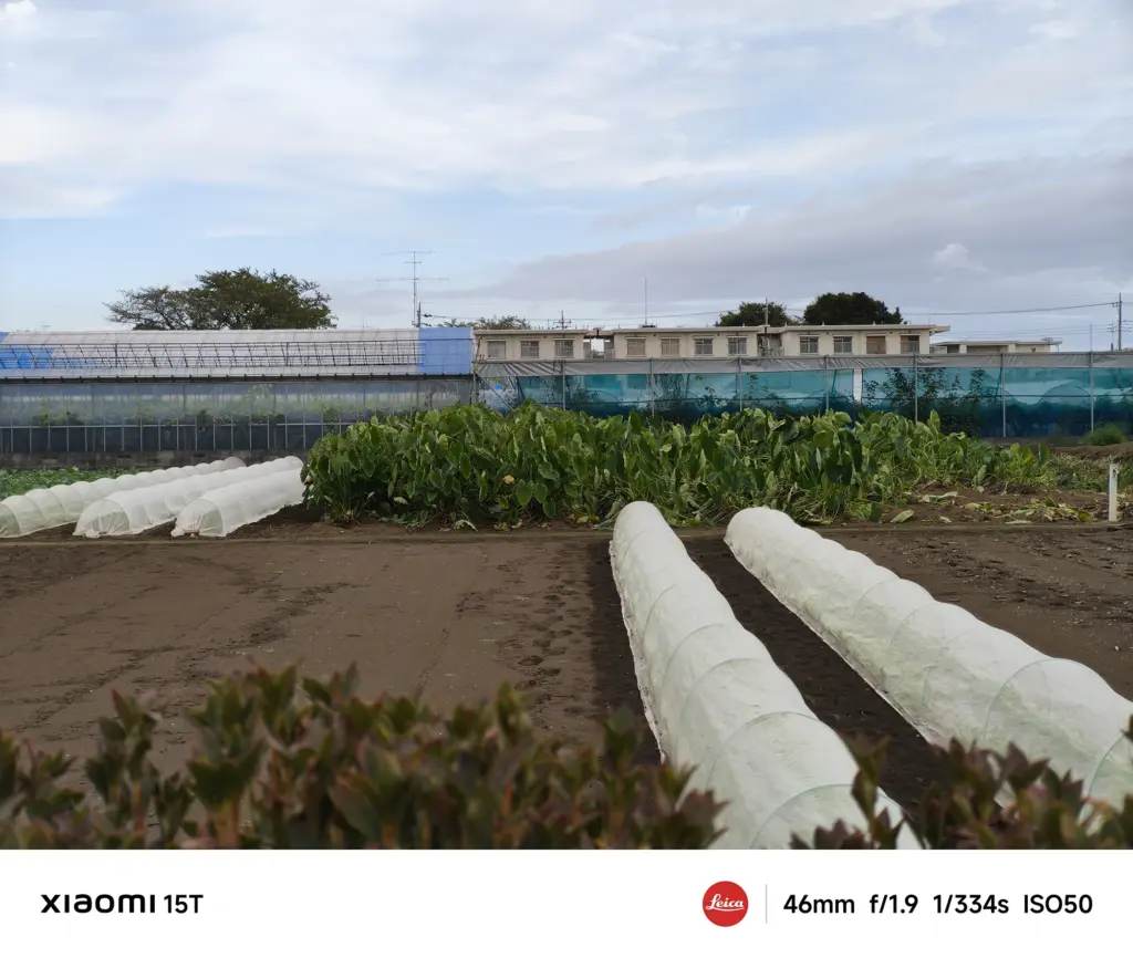 Xiaomi 15Tの望遠カメラで撮影した畑の風景。46mmレンズで奥行きを抑え、曇り空の下で自然な色調と遠近感を再現