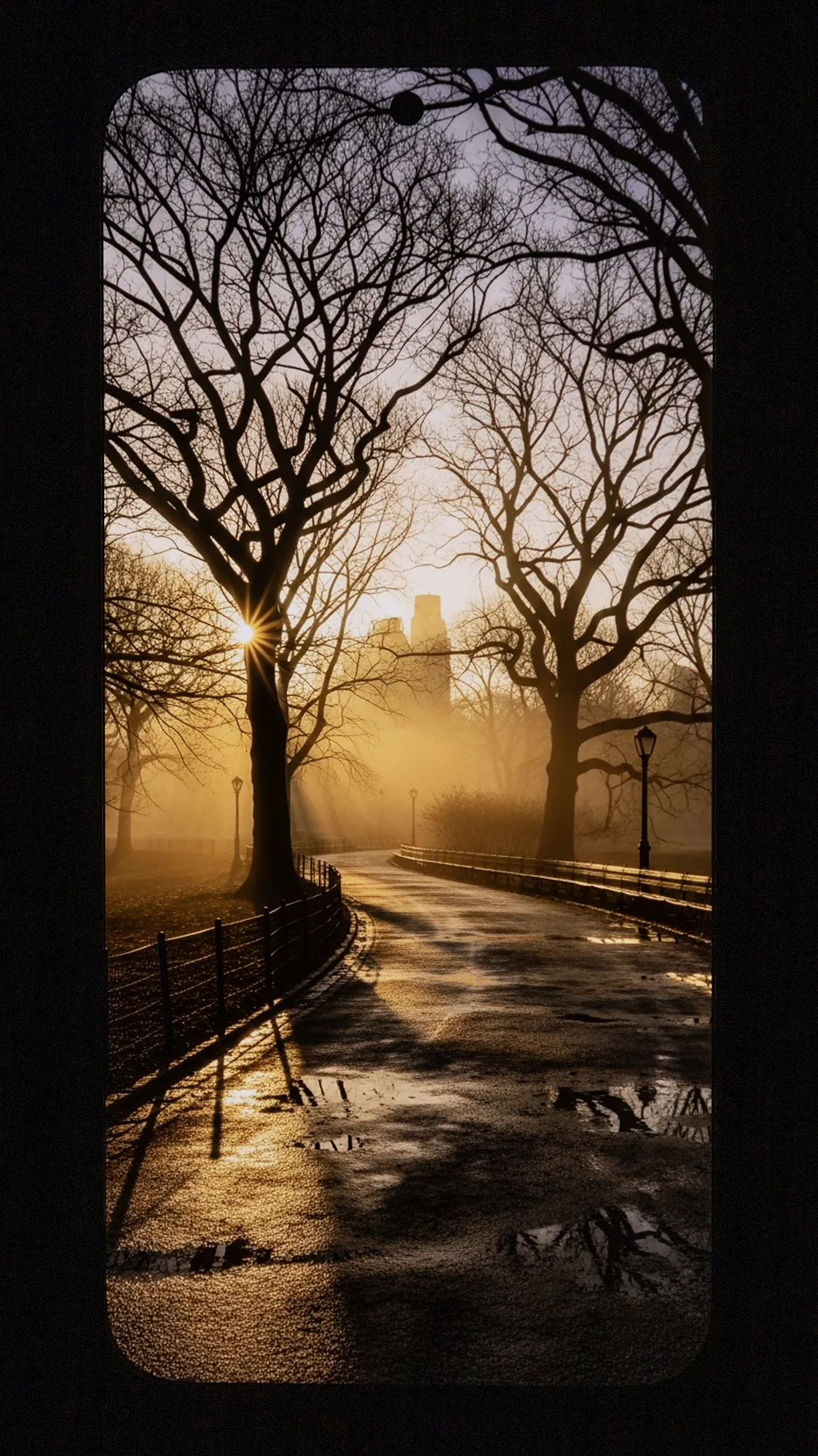 Xiaomi 15T Proのディスプレイ撮影画像4