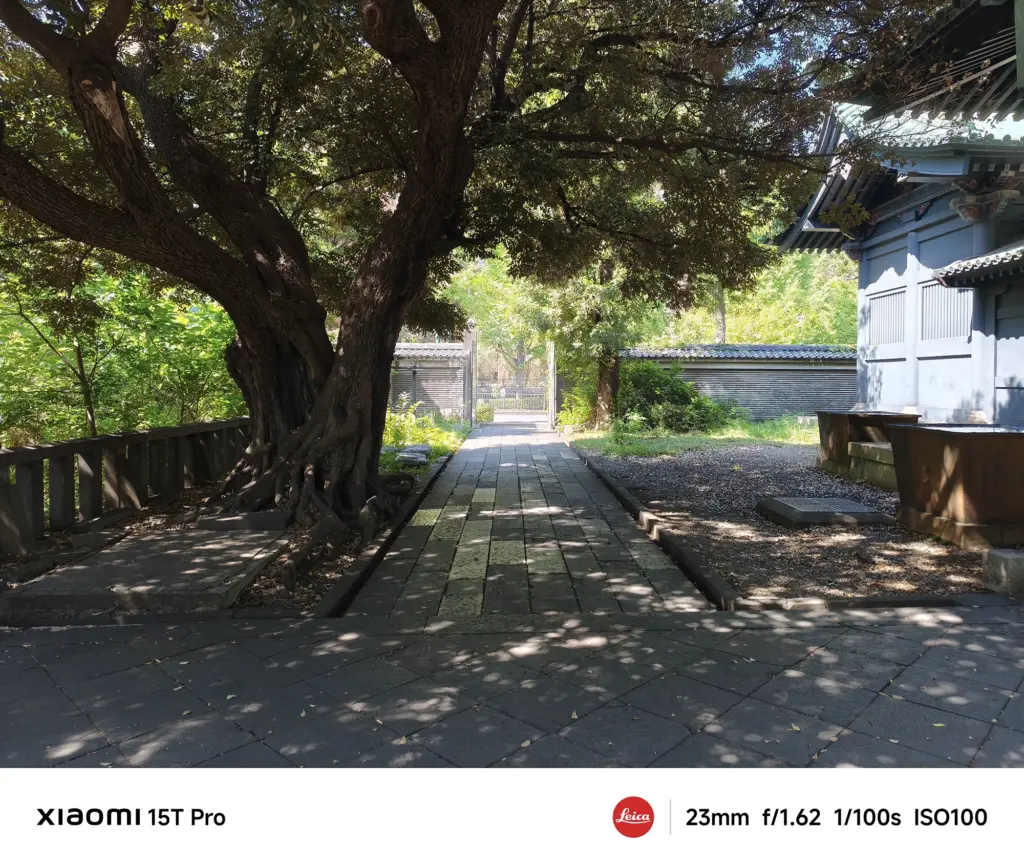 Xiaomi 15T Proで撮影した湯島聖堂の大木と参道（23mm 標準広角作例）