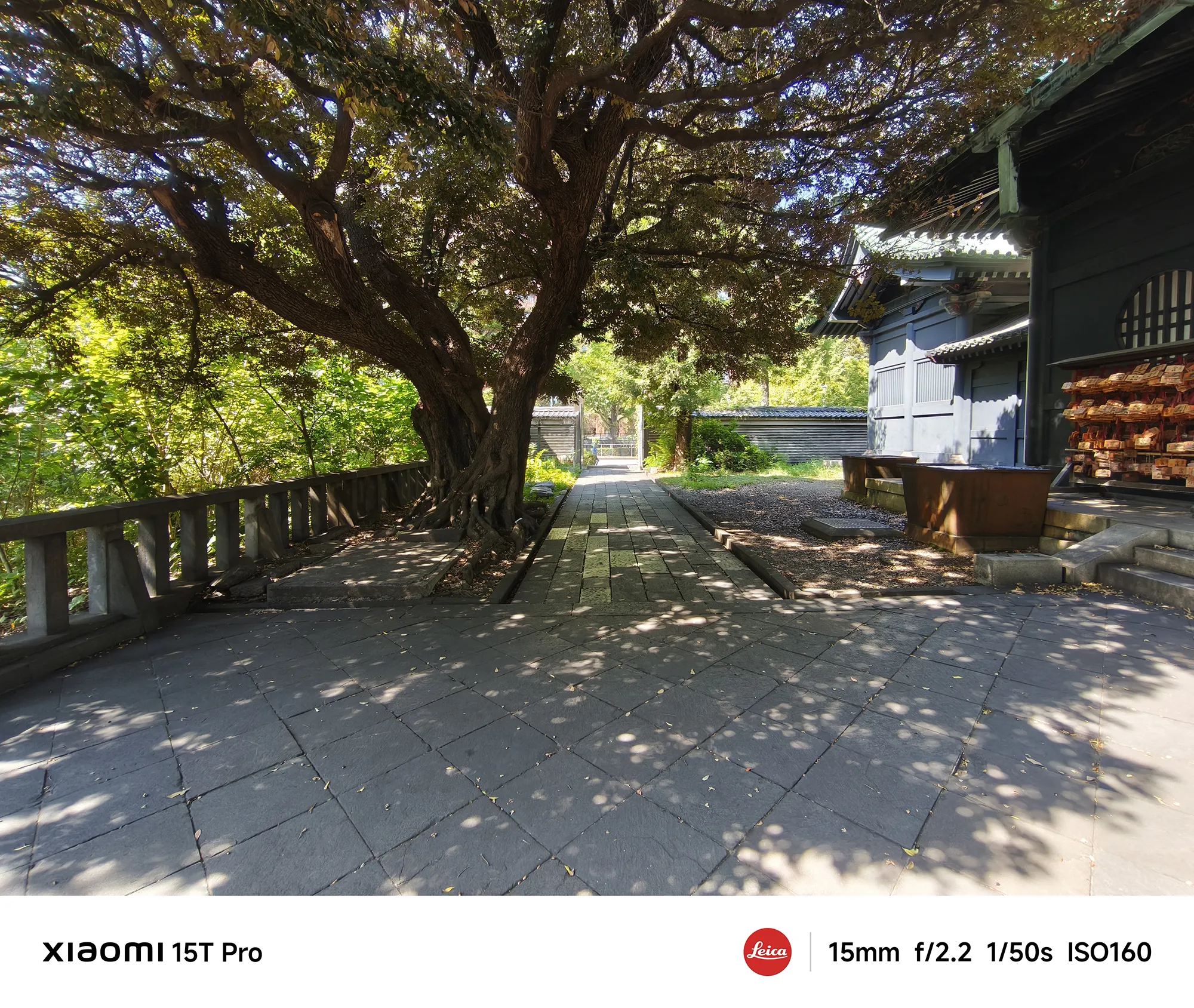 Xiaomi 15T Proで撮影した湯島聖堂の広角作例（Leica 15mm f/2.2）